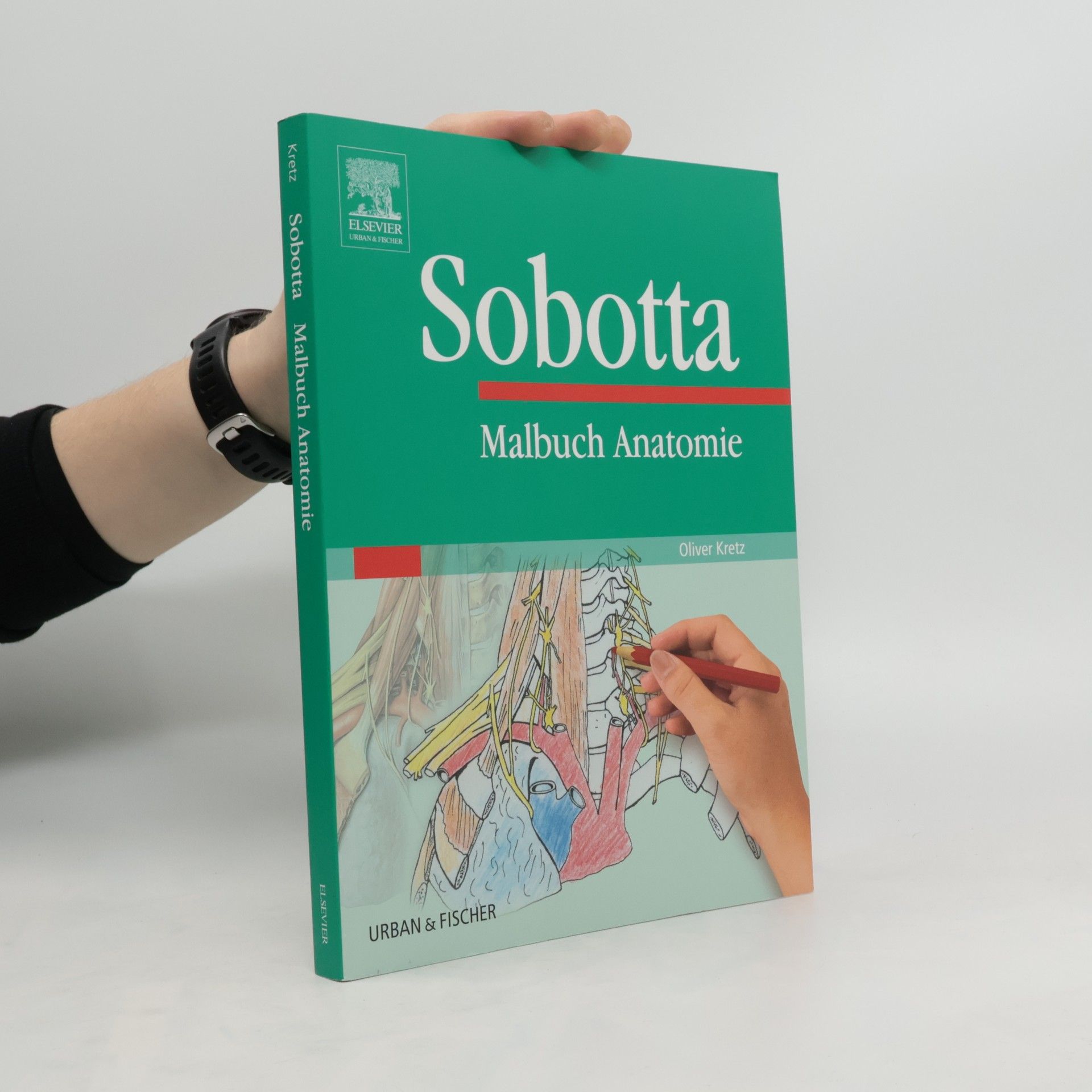 Oliver Kretz Sobotta. Malbuch Anatomie