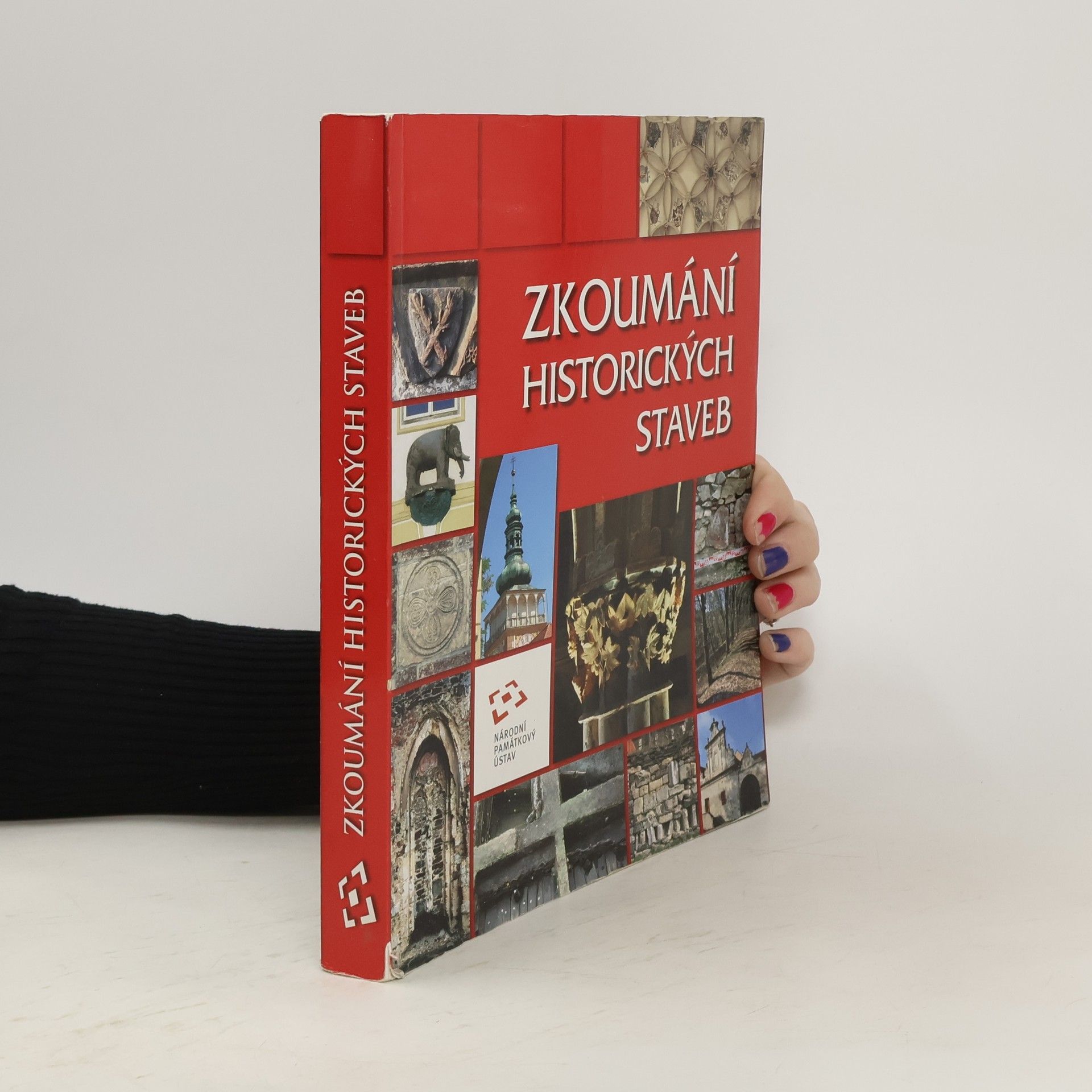 Vladislav Razím Zkoumání historických staveb