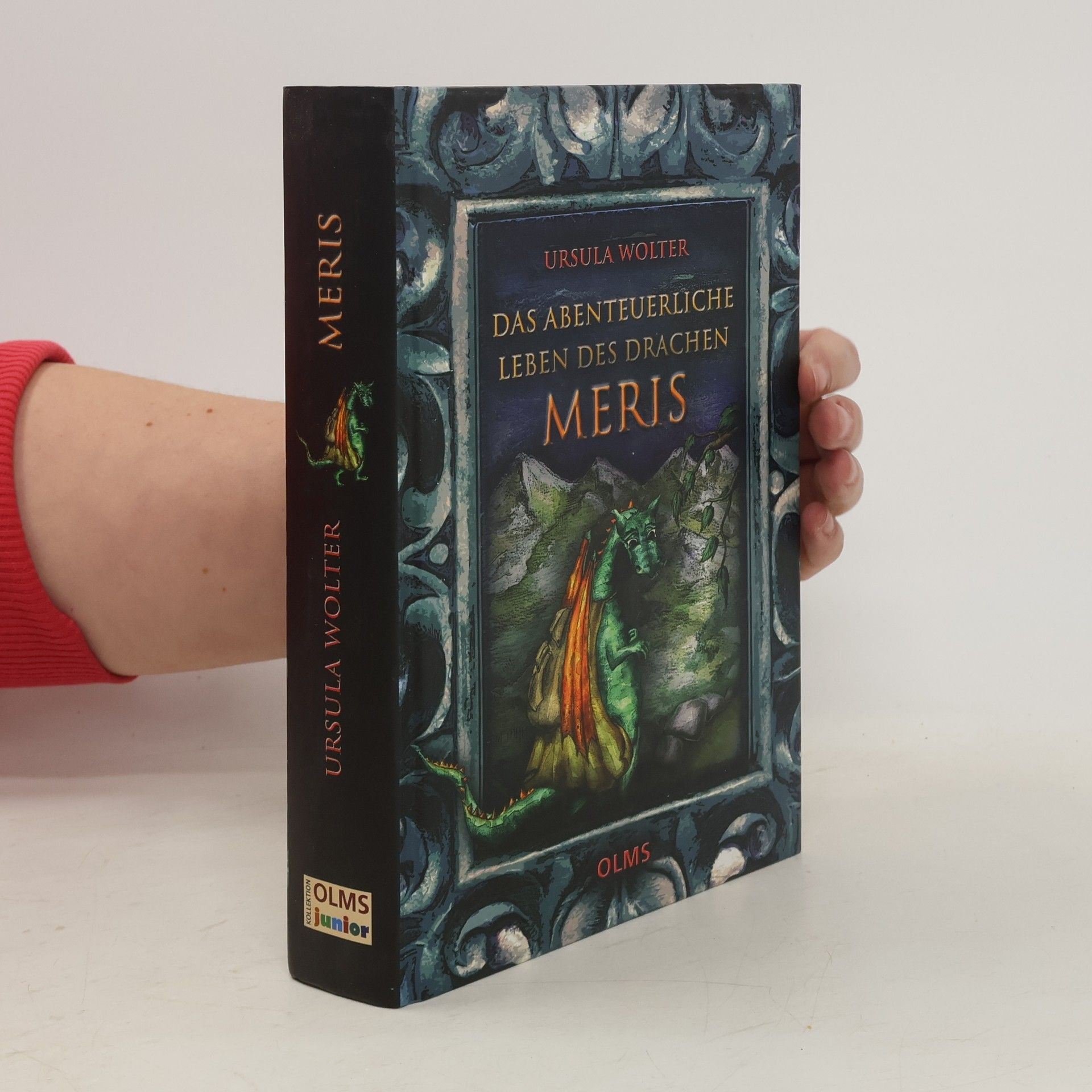Ursula Wolter Das abenteuerliche Leben des Drachen Meris