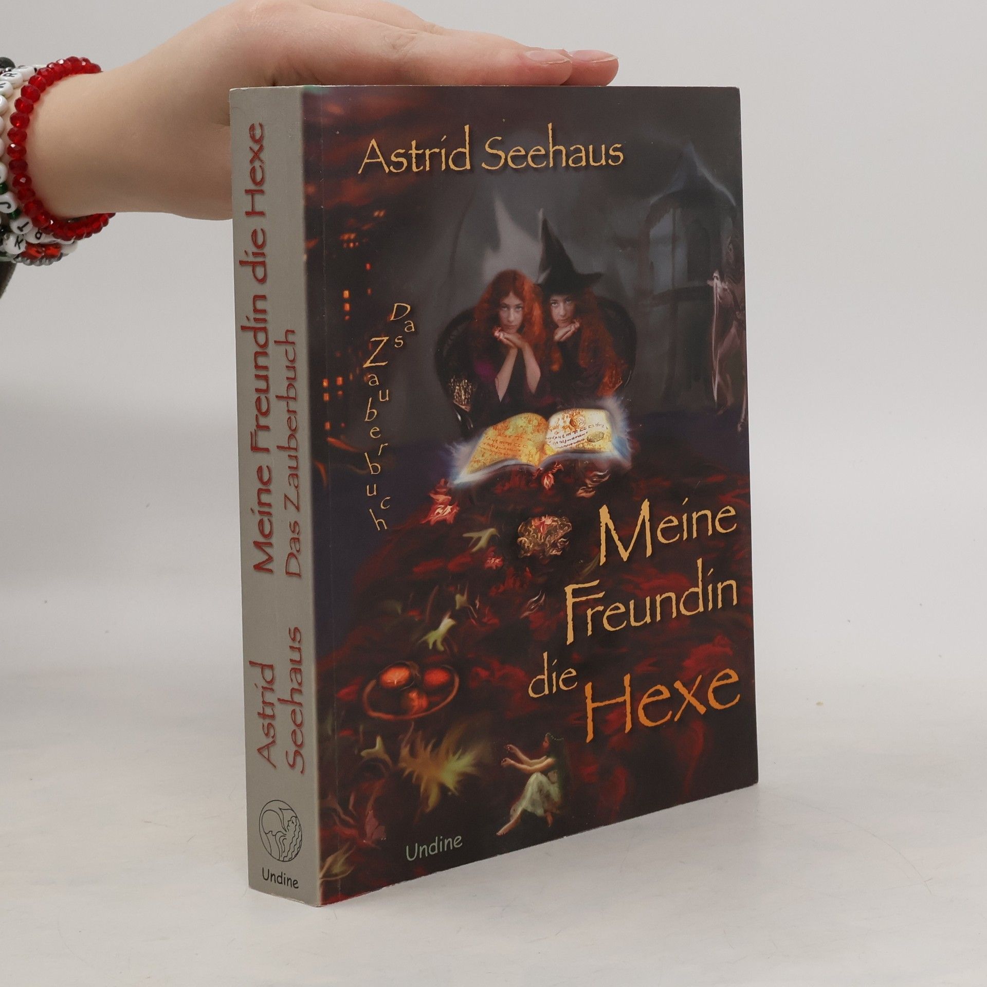 Astrid Seehaus Meine Freundin die Hexe
