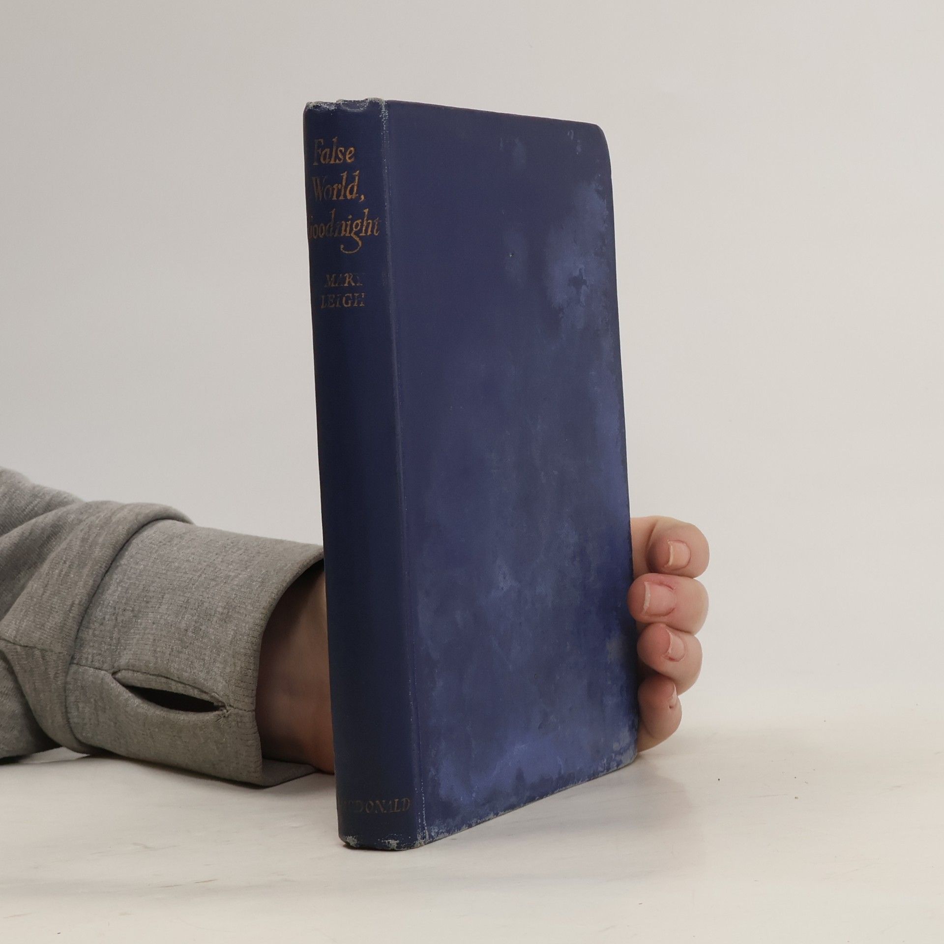 Mary Leigh False World, Goodnight