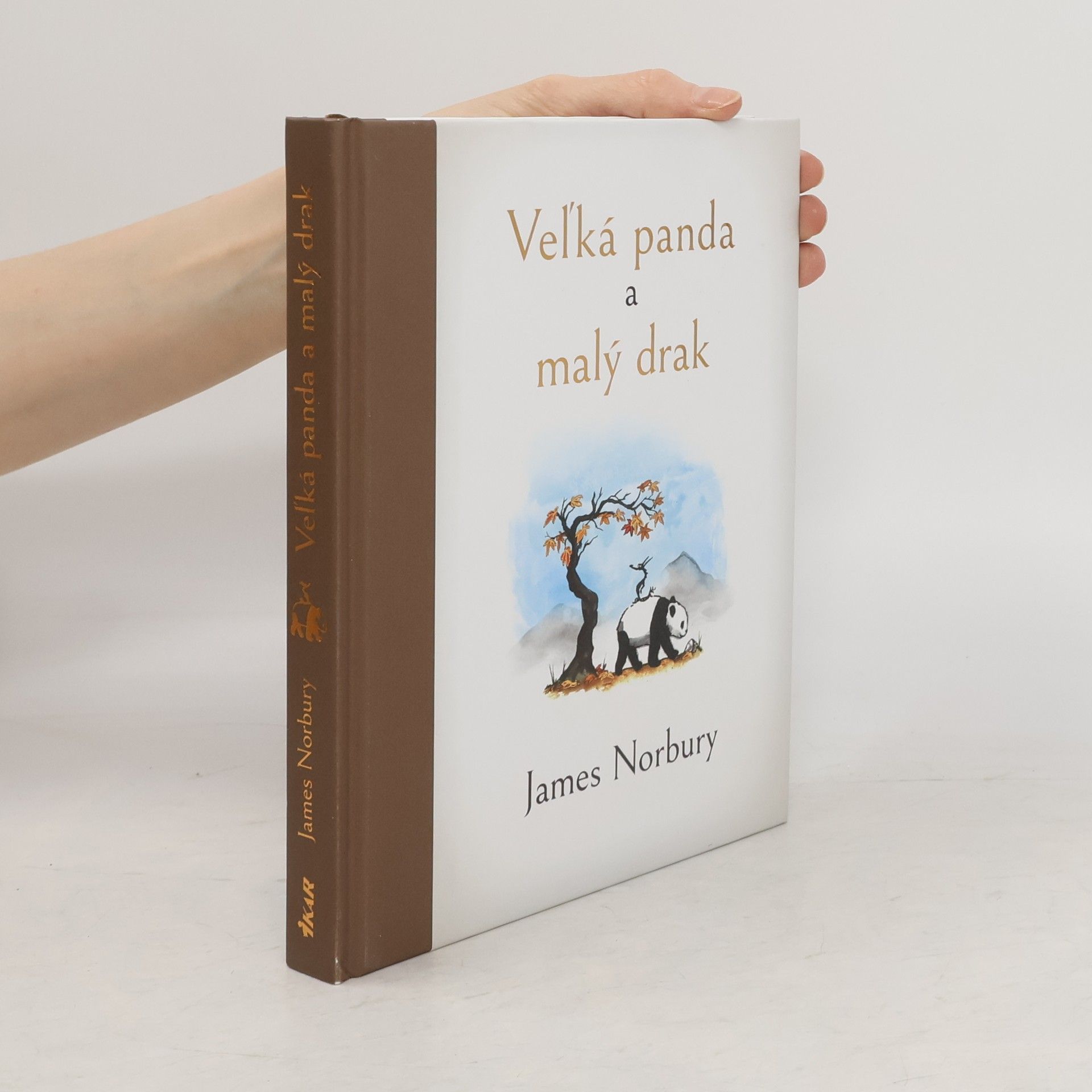 James Norbury Veľká panda a malý drak