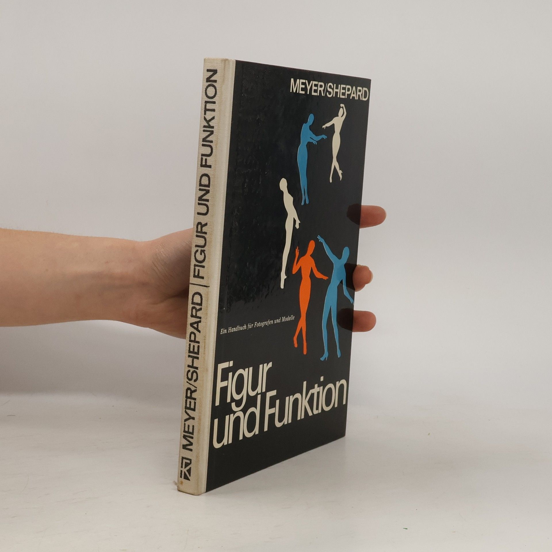 Lenore Meyer Figur und Funktion