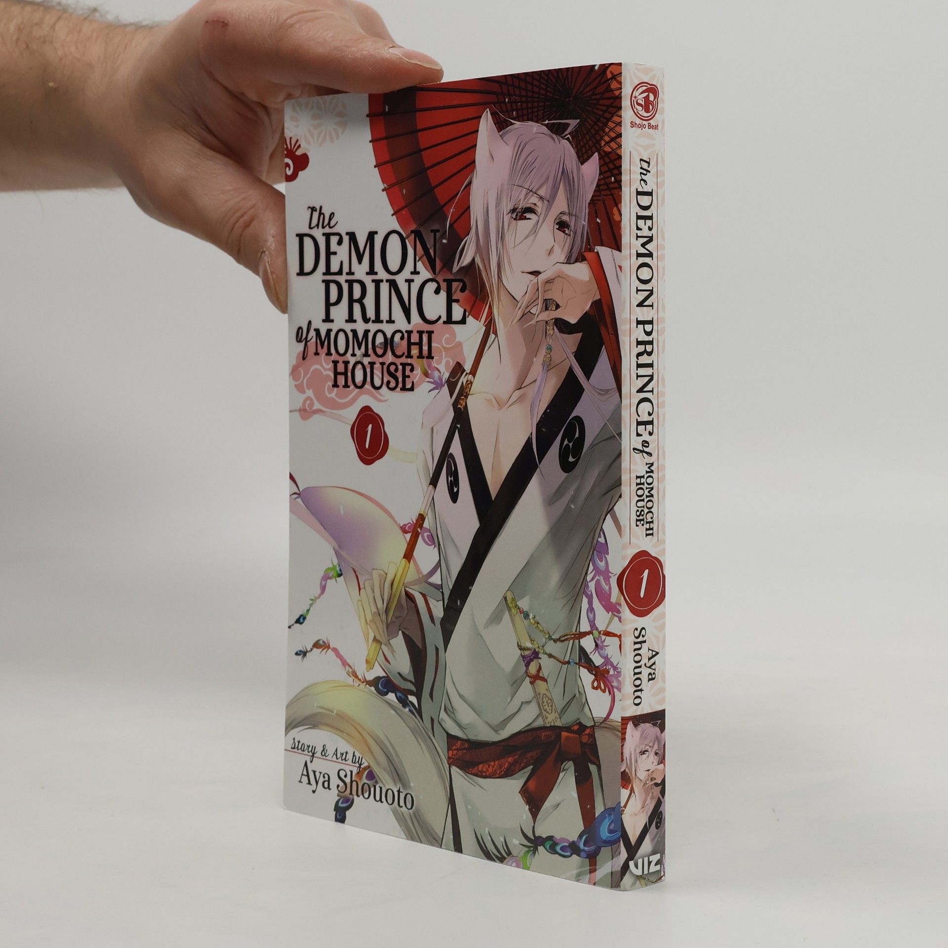 Aya Shōoto The Demon Prince of Momochi House 1