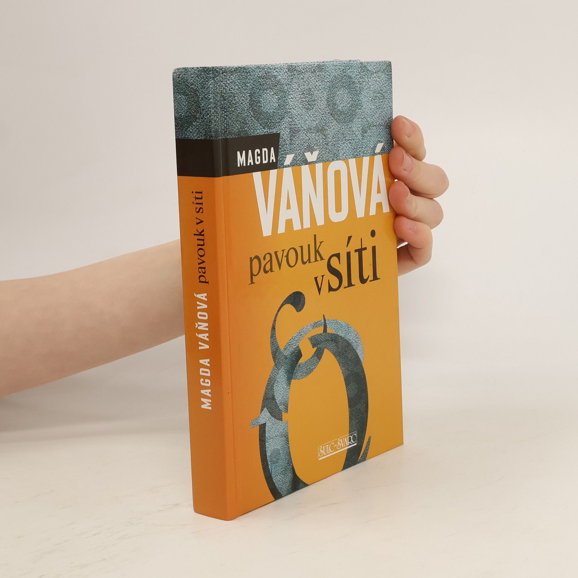 Magda Váňová Pavouk v síti