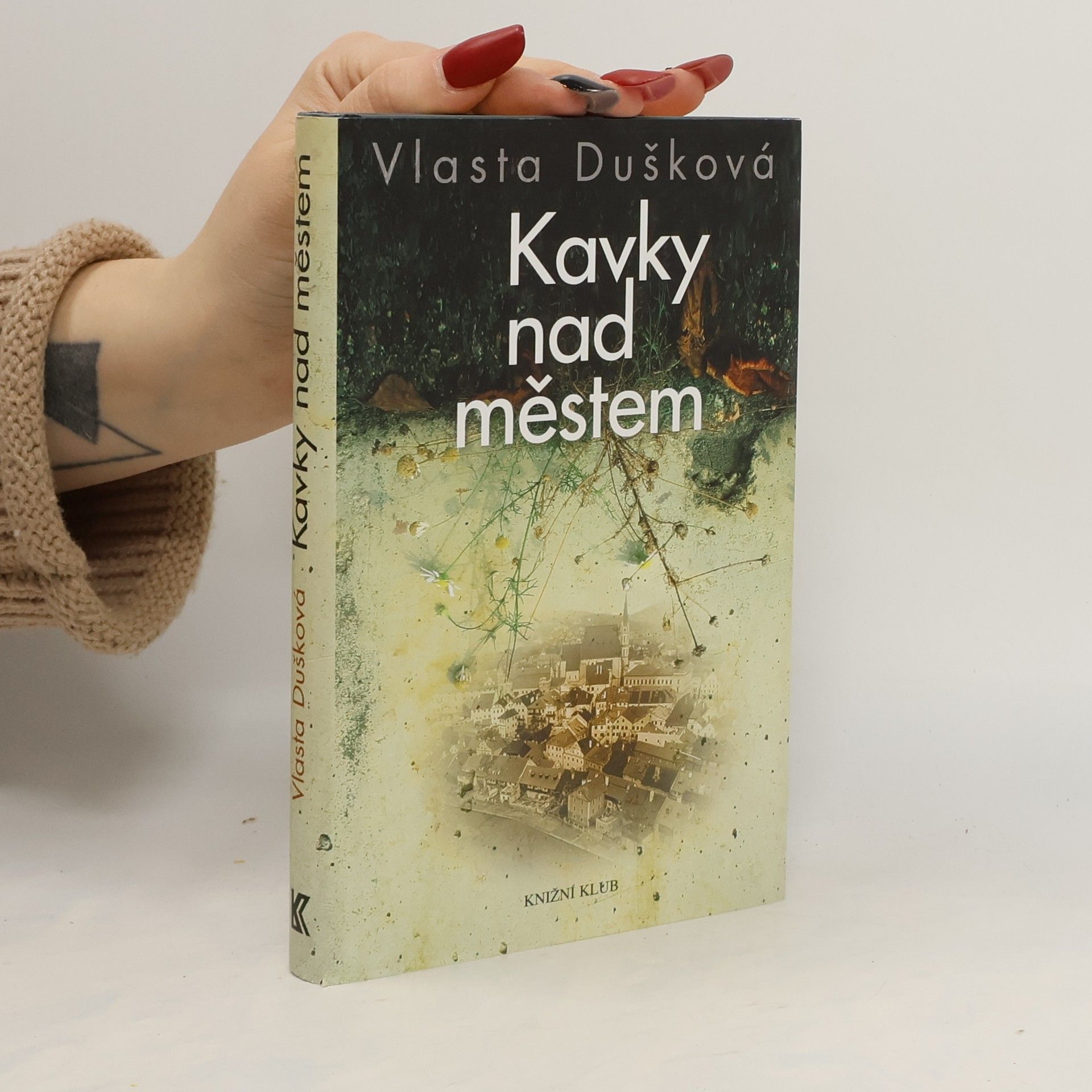 Vlasta Dušková Kavky nad městem