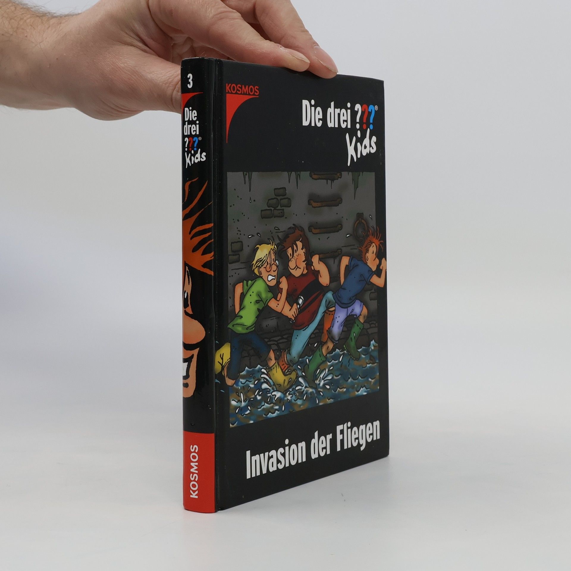 Ulf Blanck Die drei Fragezeichen-Kids, Bd.3, Invasion der Fliegen