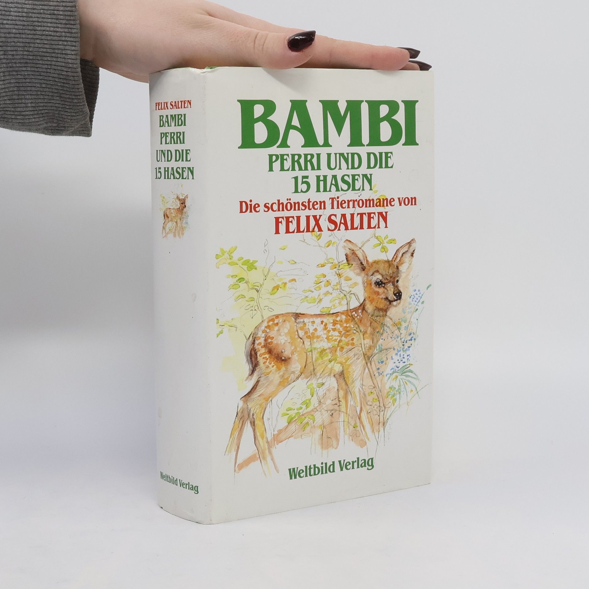 Felix Salten Bambi, Perri und die 15 Hasen