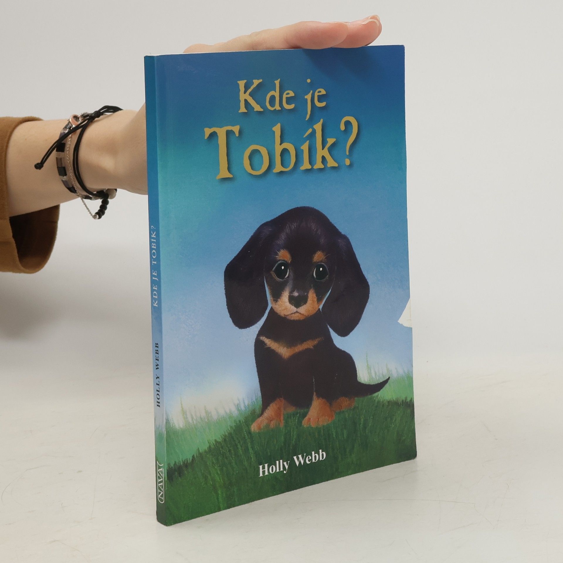 Holly Webb Kde je Tobík