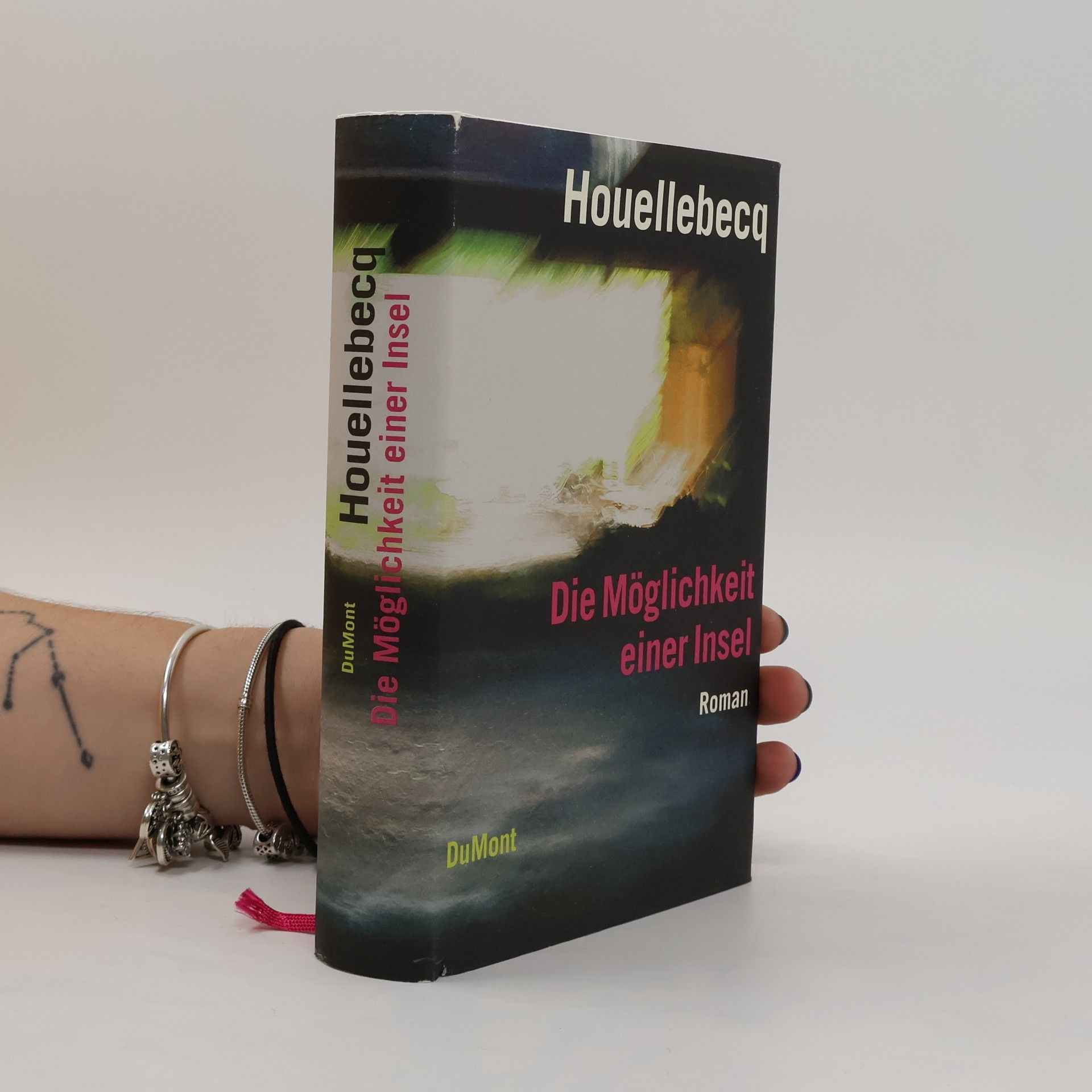 Michel Houellebecq Die Möglichkeit einer Insel
