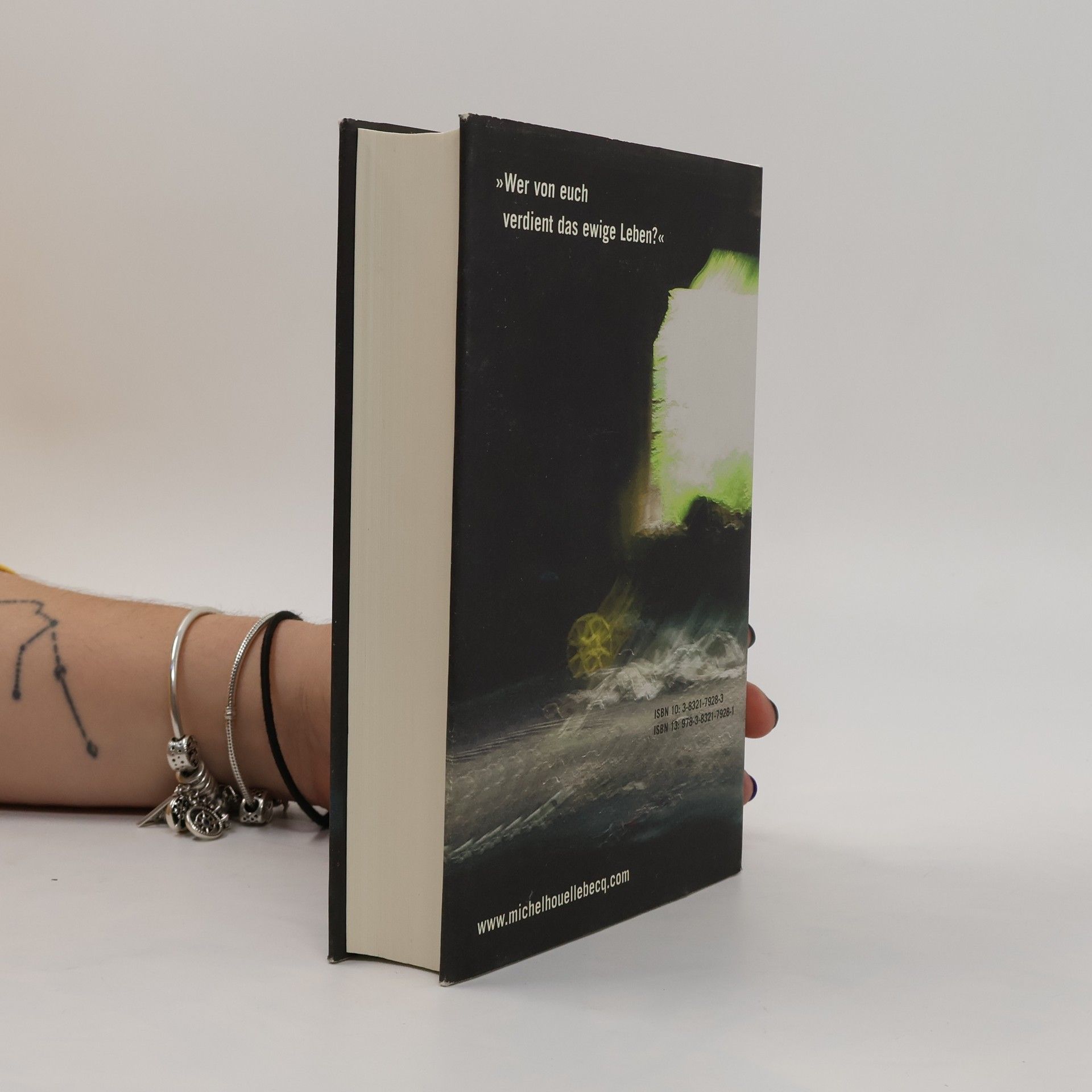 Michel Houellebecq Die Möglichkeit einer Insel
