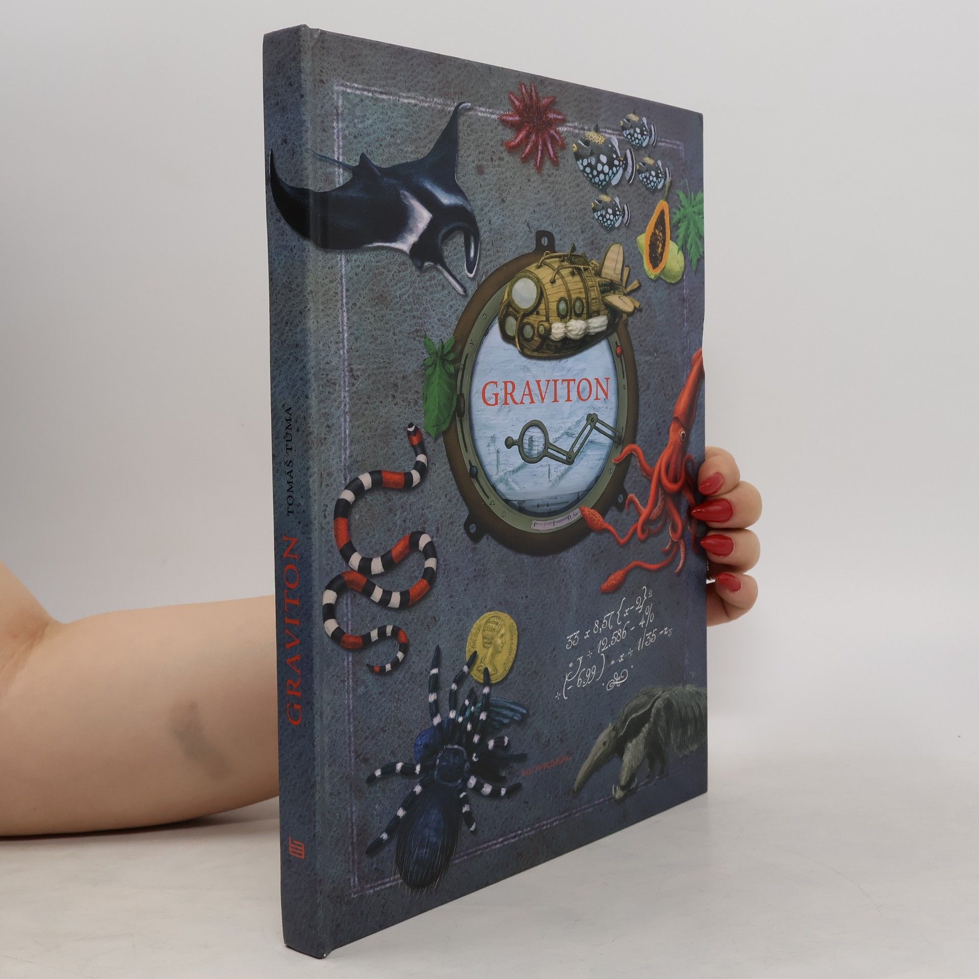 Tomáš Tůma Graviton: Palubní deník z cesty kolem světa v létajícím stroji Alfonse Cailleteta