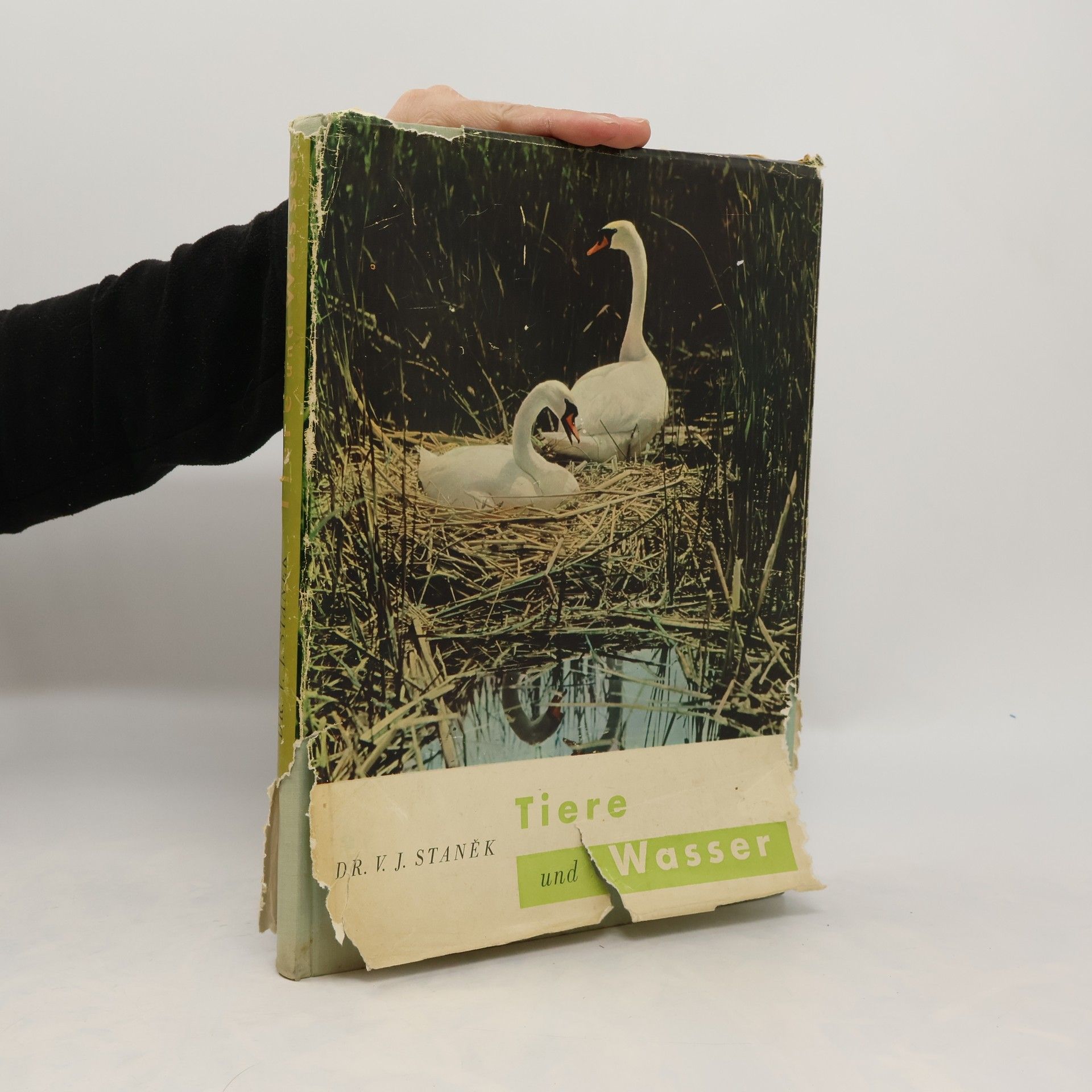 Václav Jan Staněk Tiere und Wasser