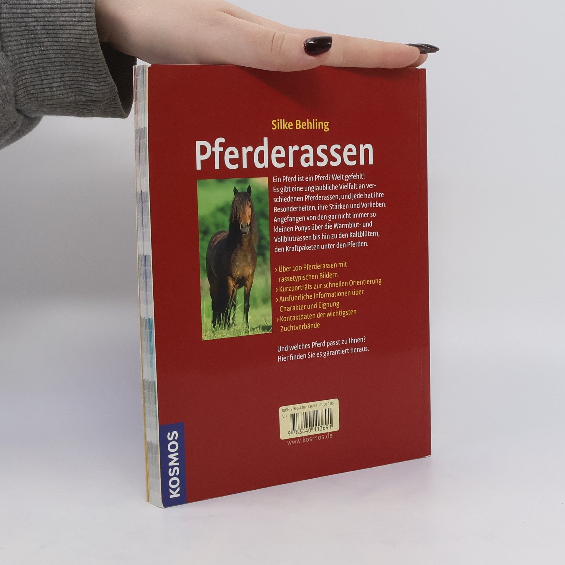 Silke Behling Pferderassen