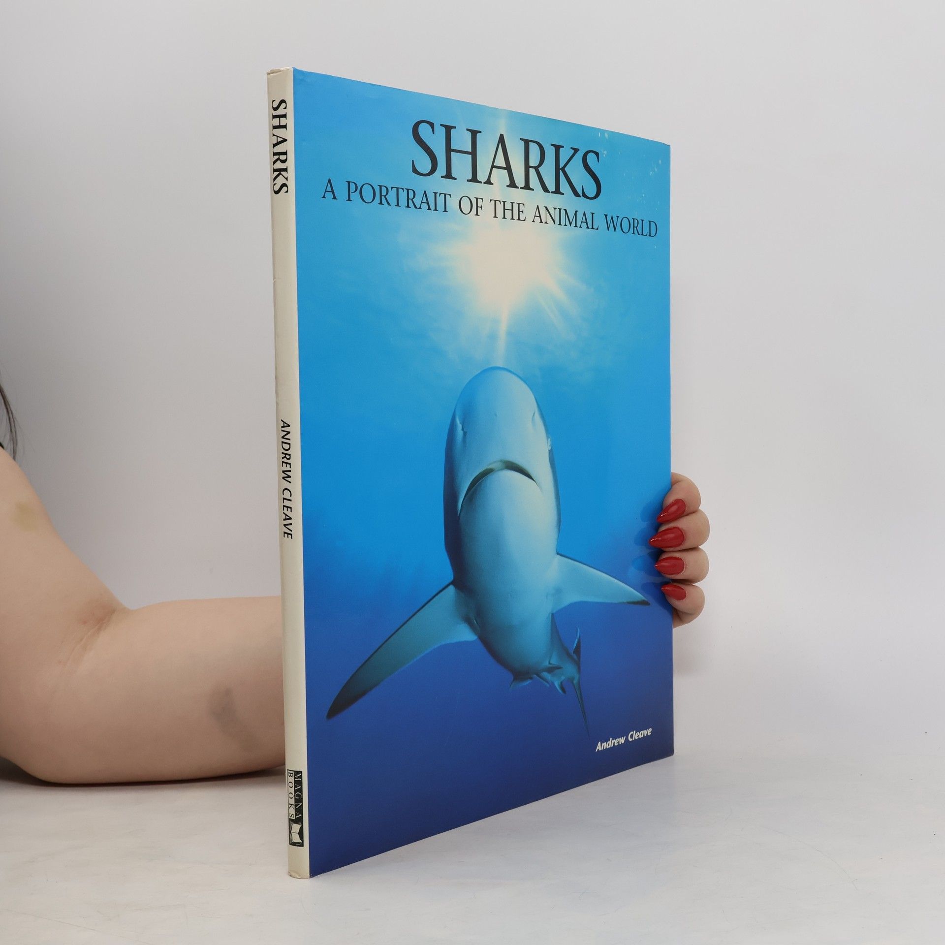 Andrew Cleave Sharks