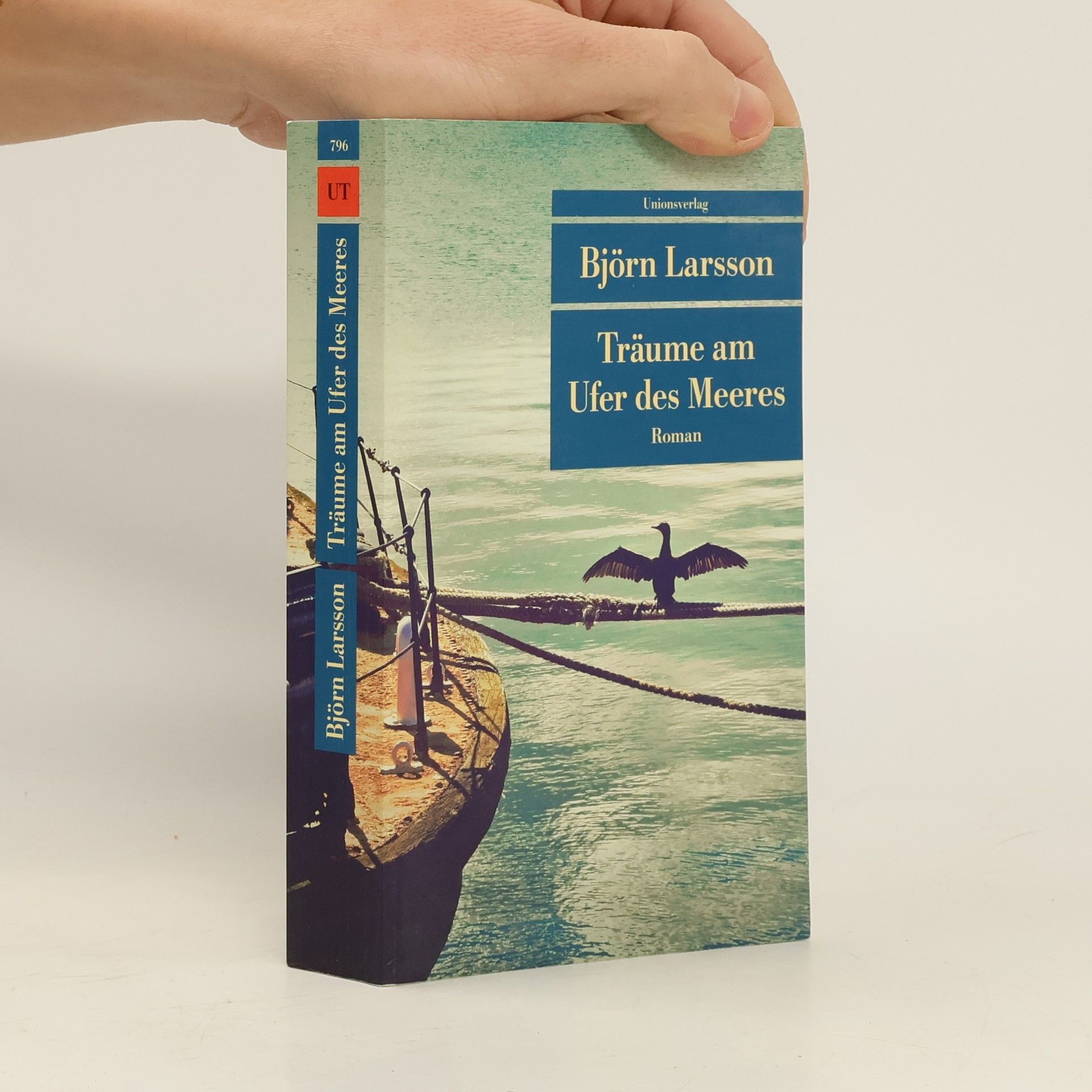 Björn Larsson Träume am Ufer des Meeres