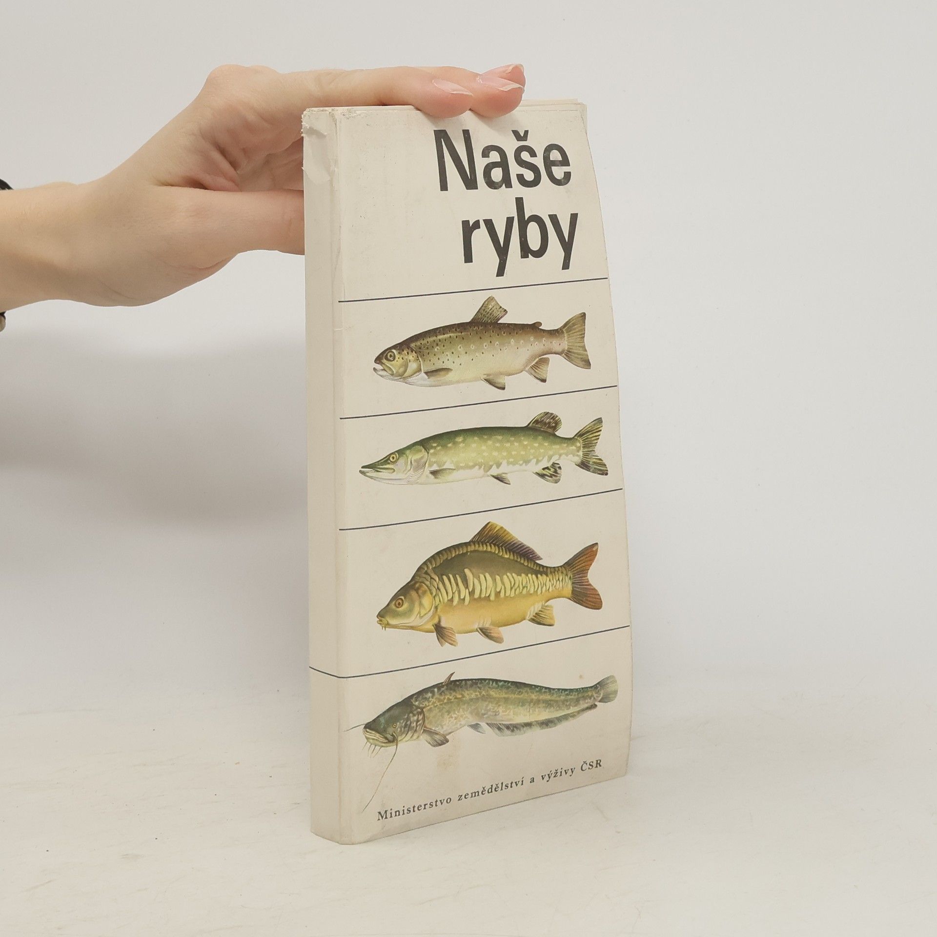Naše ryby