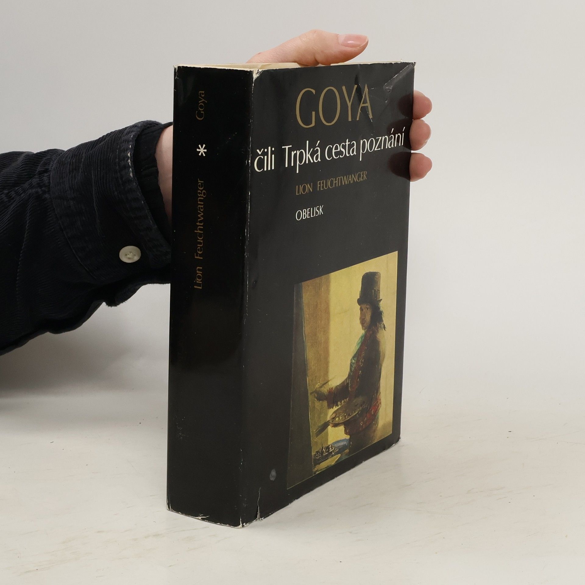 Lion Feuchtwanger Goya čili Trpká cesta poznání