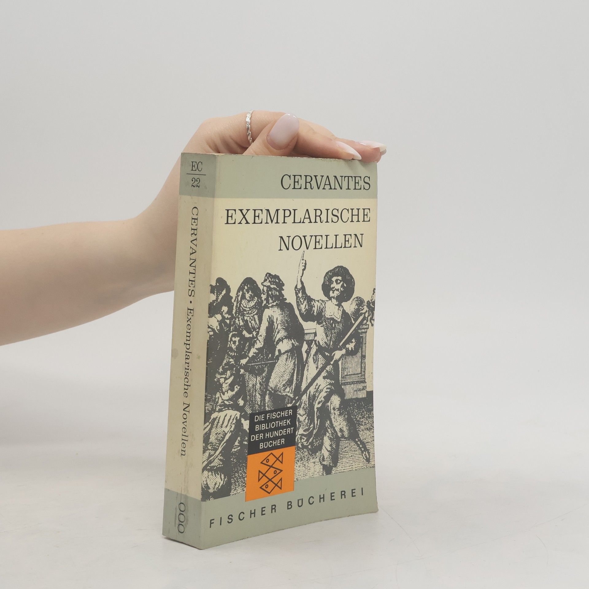 Miguel de Cervantes Saavedra Exemplarische Novellen