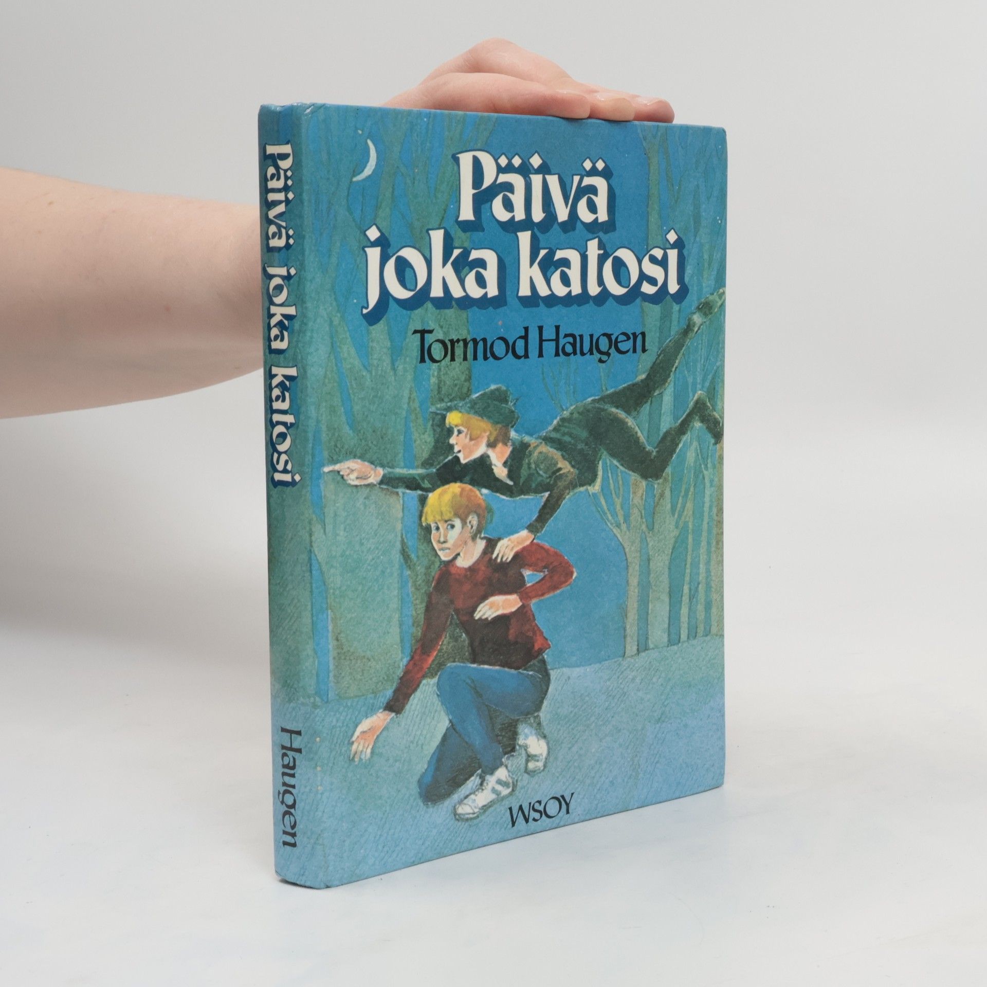 Tormod Haugen Päivä joka katosi