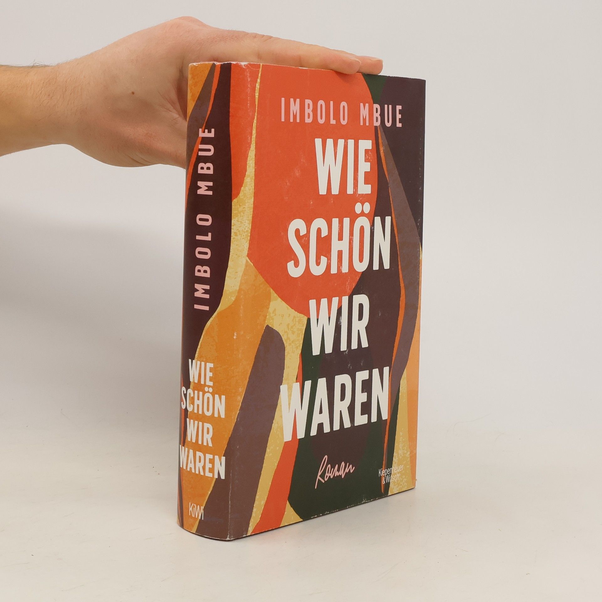 Imbolo Mbue Wie schön wir waren
