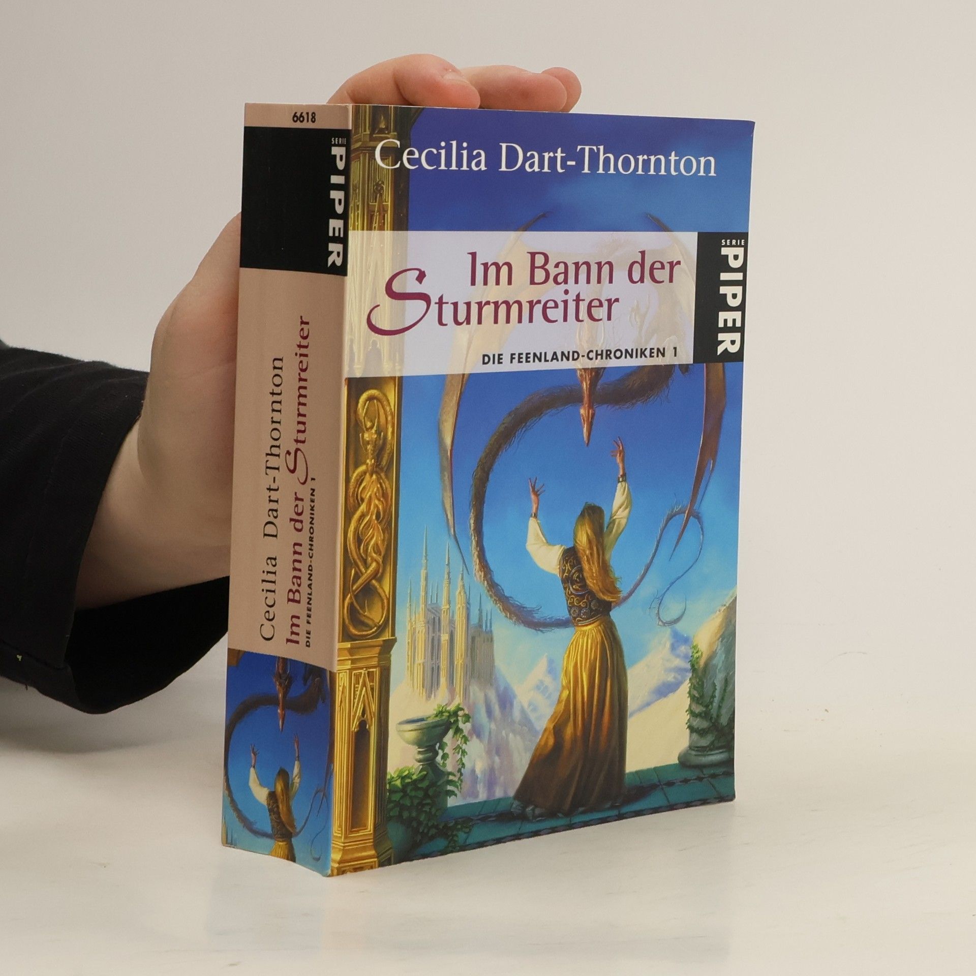 Cecilia Dart-Thornton Im Bann der Sturmreiter. Die Feenland-Chroniken 1