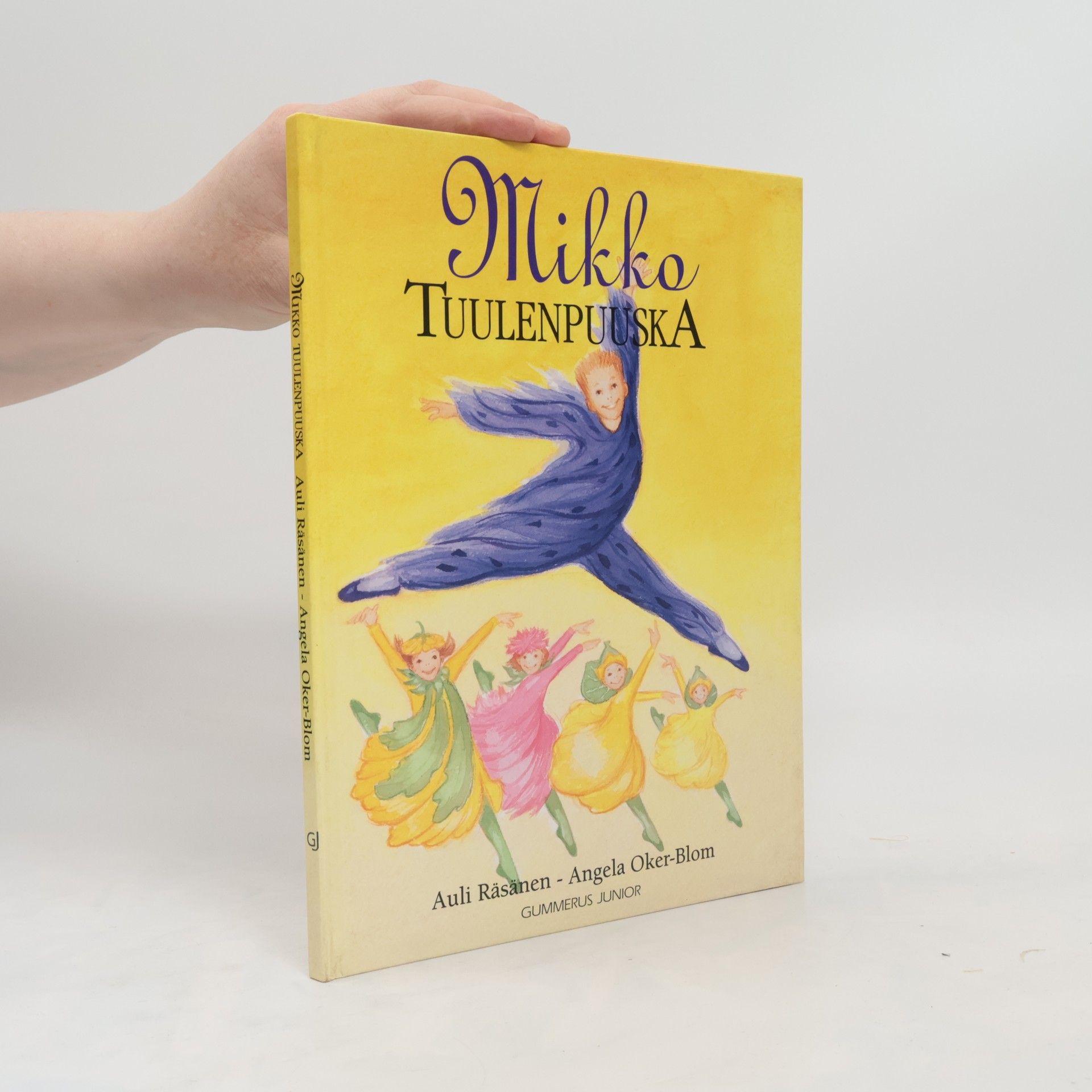 Auli Räsänen Mikko, tuulenpuuska