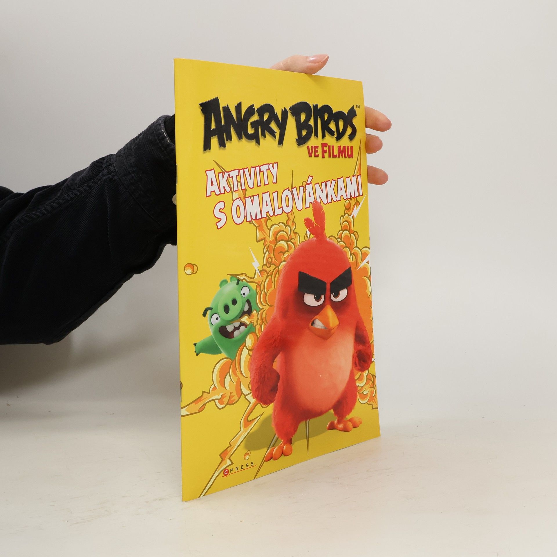 Zdeněk Kubík Angry Birds ve filmu : aktivity s omalovánkami