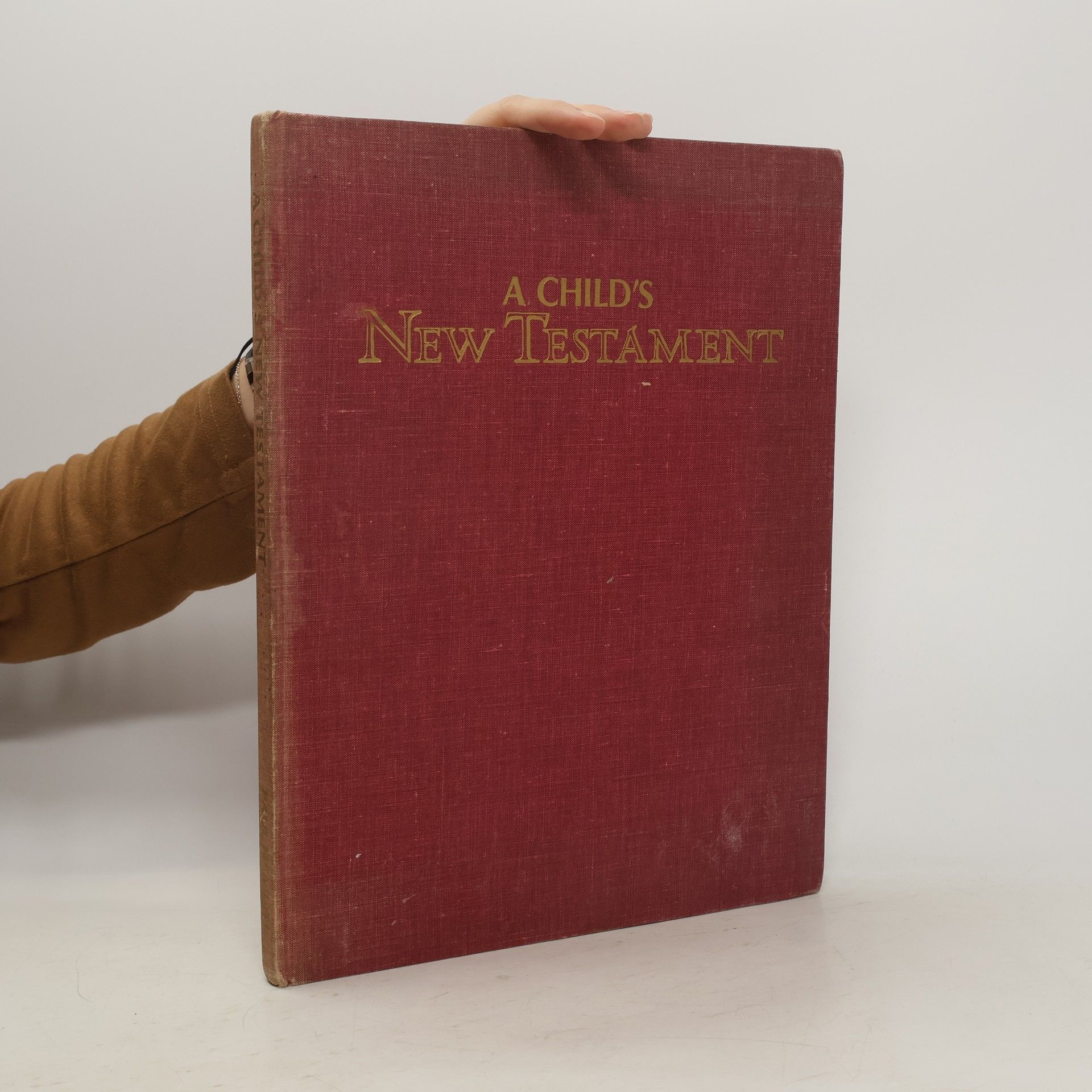 Elsa Jane Werner A Child's New Testament
