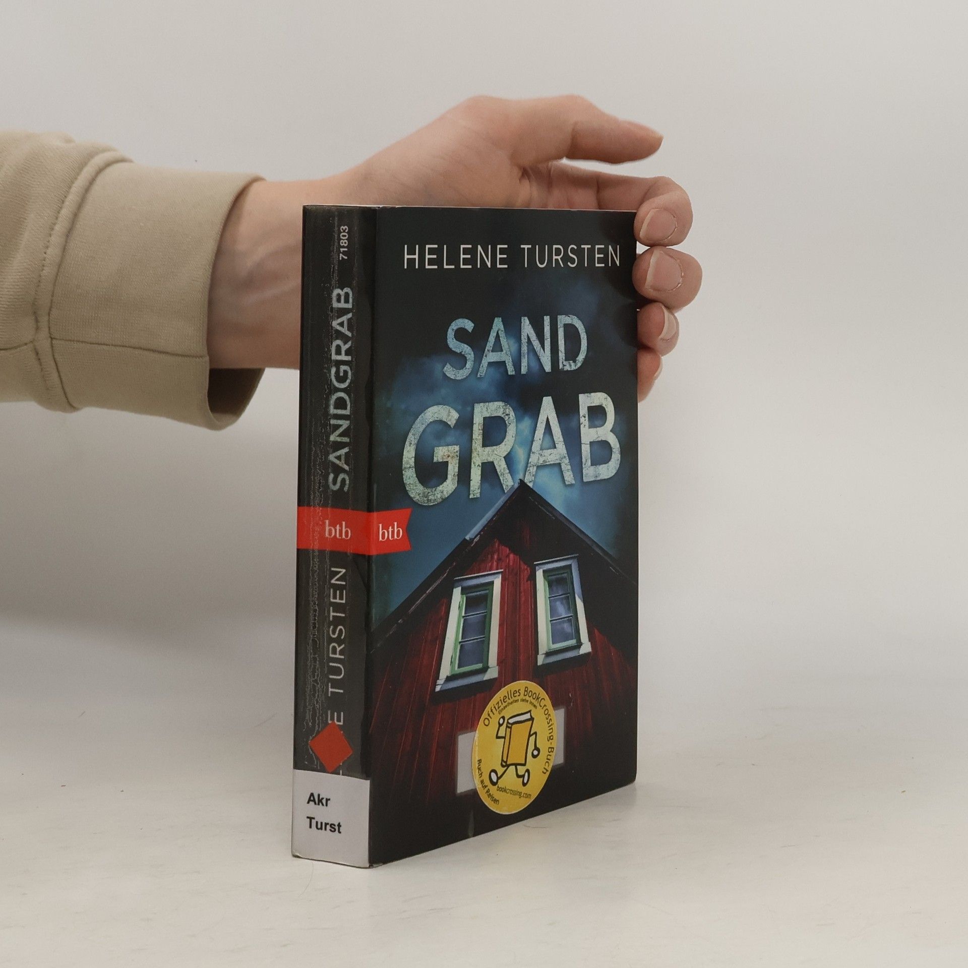 Helene Tursten Sandgrab