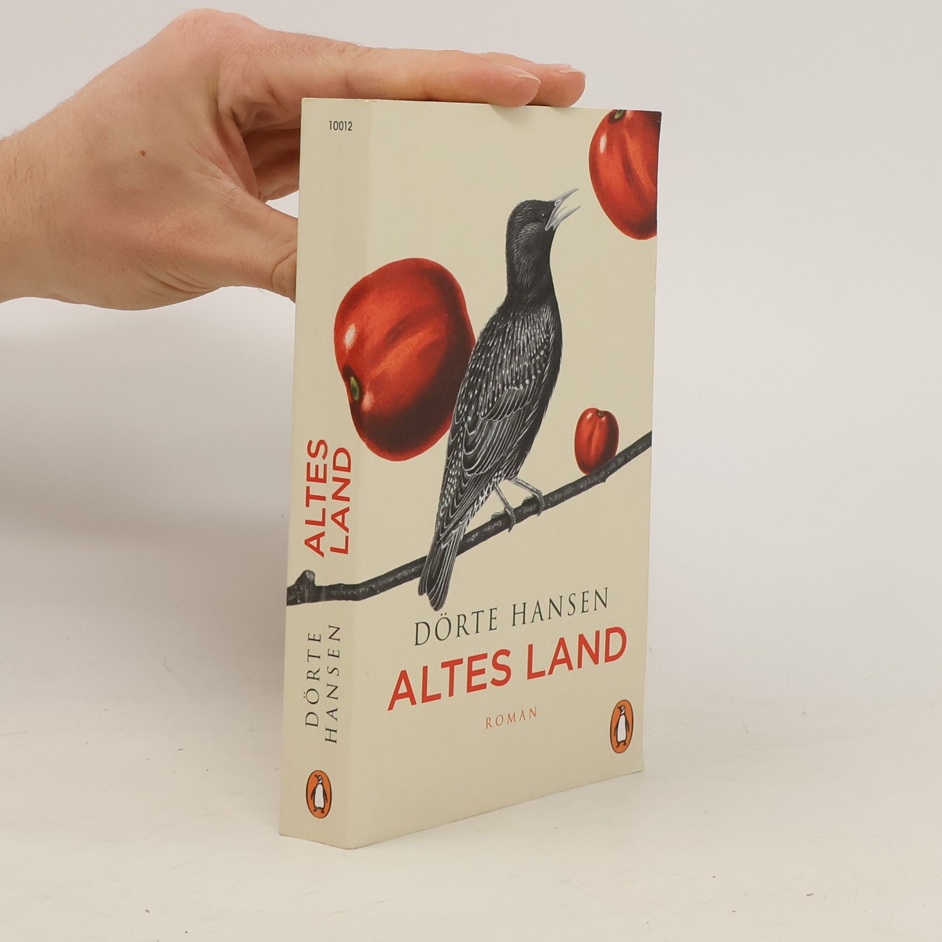 Dörte Hansen Altes Land