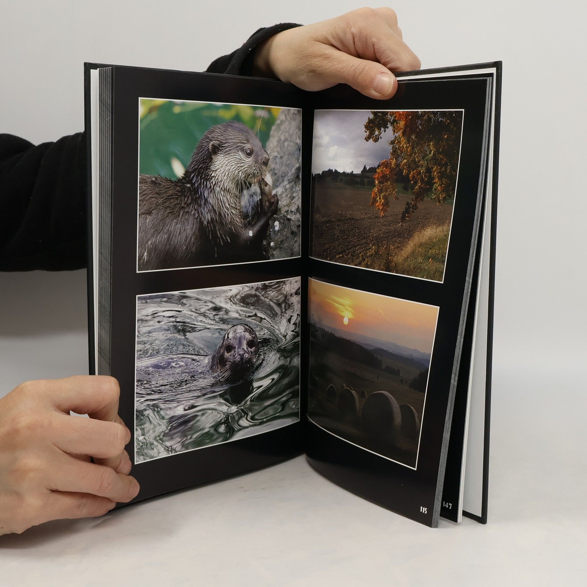 Kolektív autorov 5 Třebíčských fotografů 2009