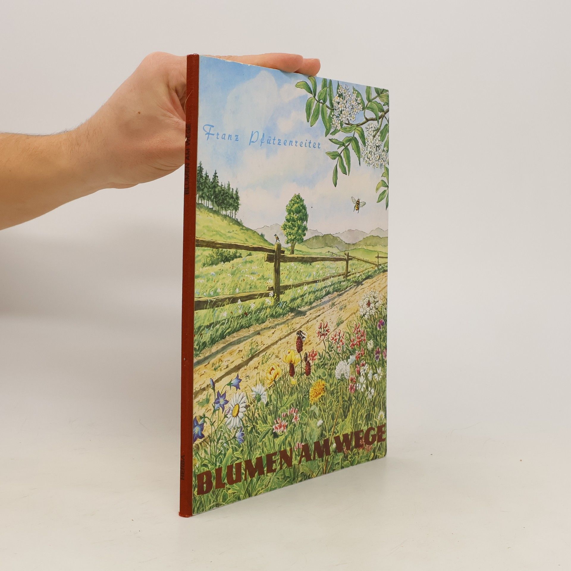 Franz Pfützenreiter Blumen am Wege