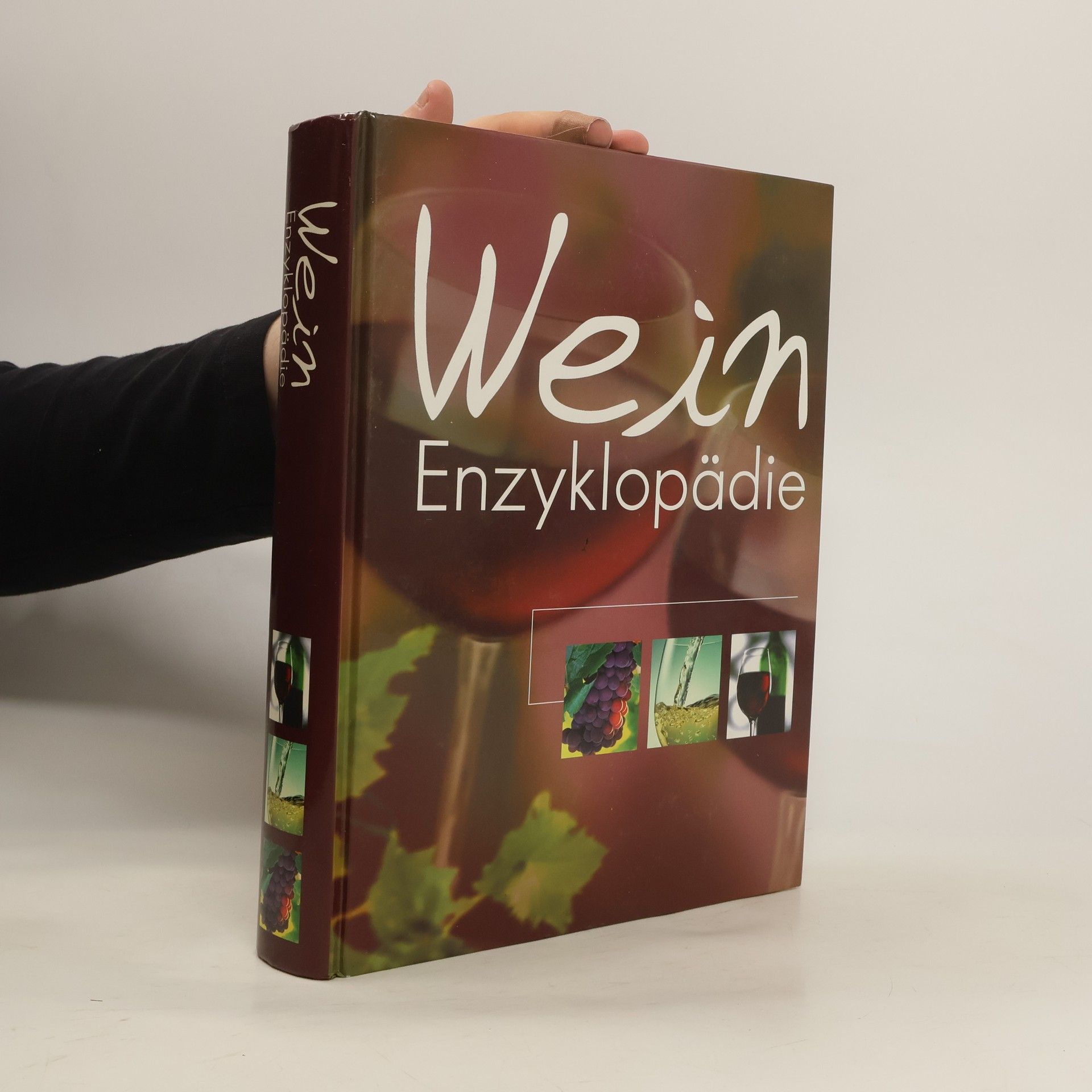Autorenkollektiv Wein Enzyklopädie