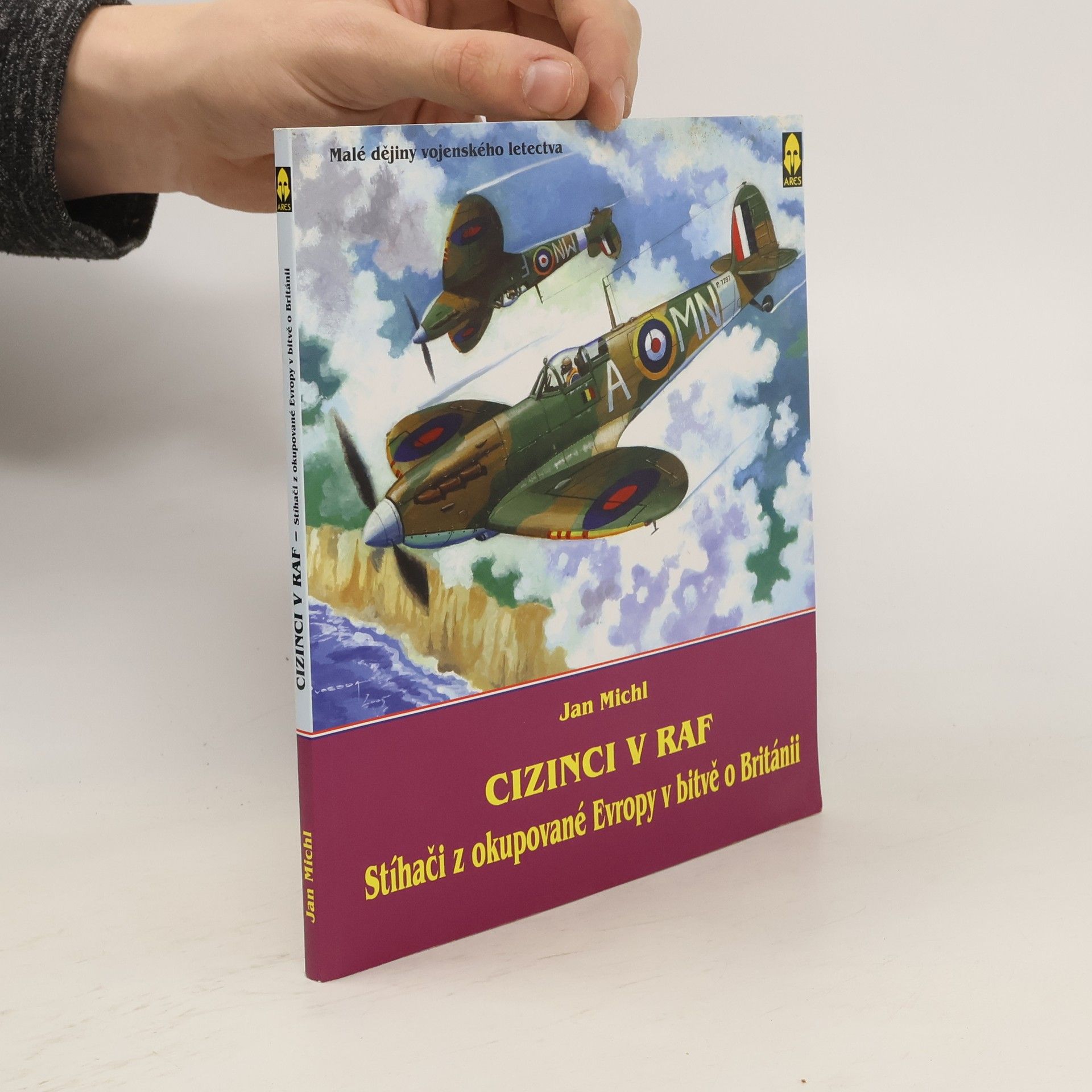 Jan Michl Cizinci v RAF - stíhači z okupované Evropy v bitvě o Británii