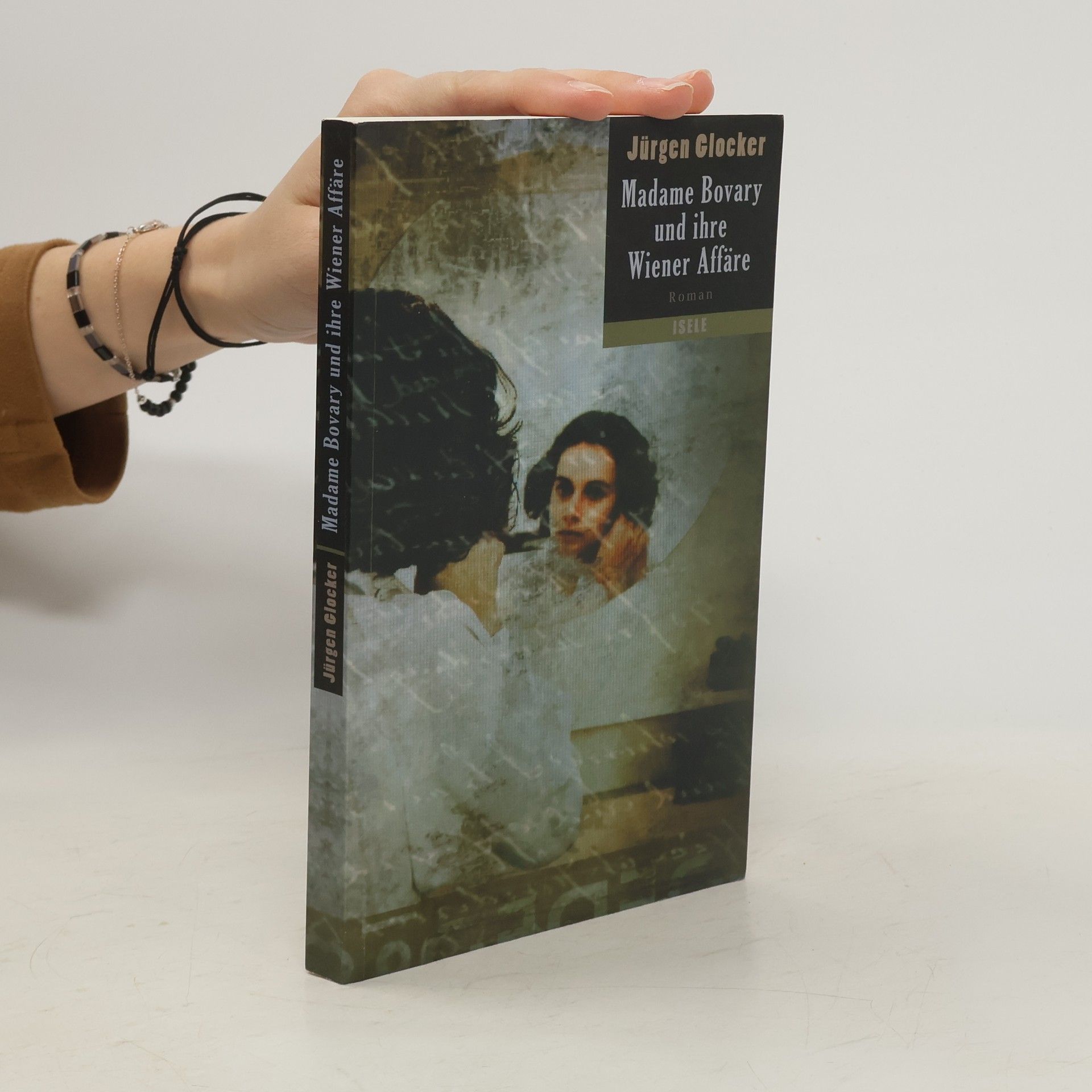 Jürgen Glocker Madame Bovary und ihre Wiener Affäre