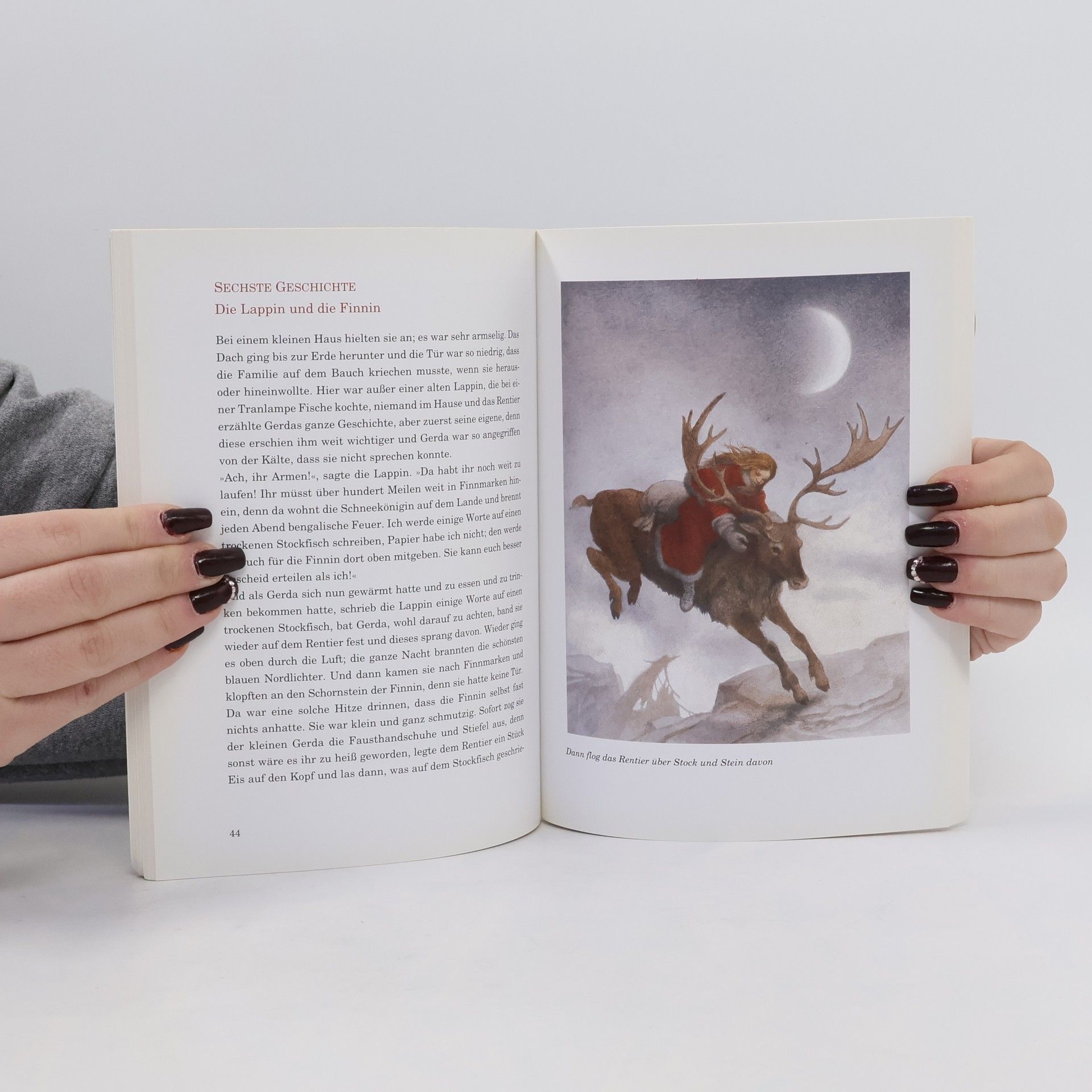 Hans Christian Andersen Wintermärchen