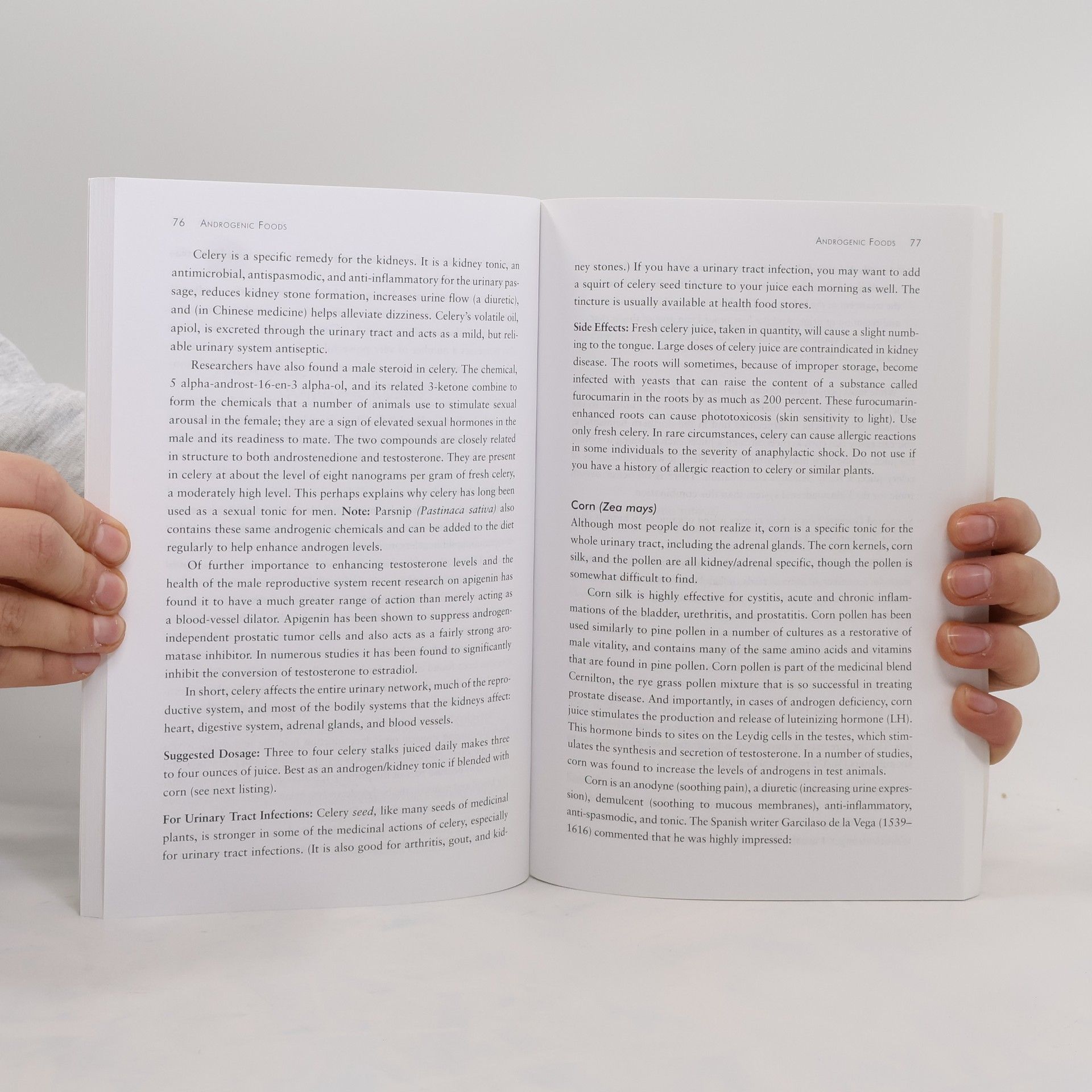 Stephen Harrod Buhner The Natural Testosterone Plan
