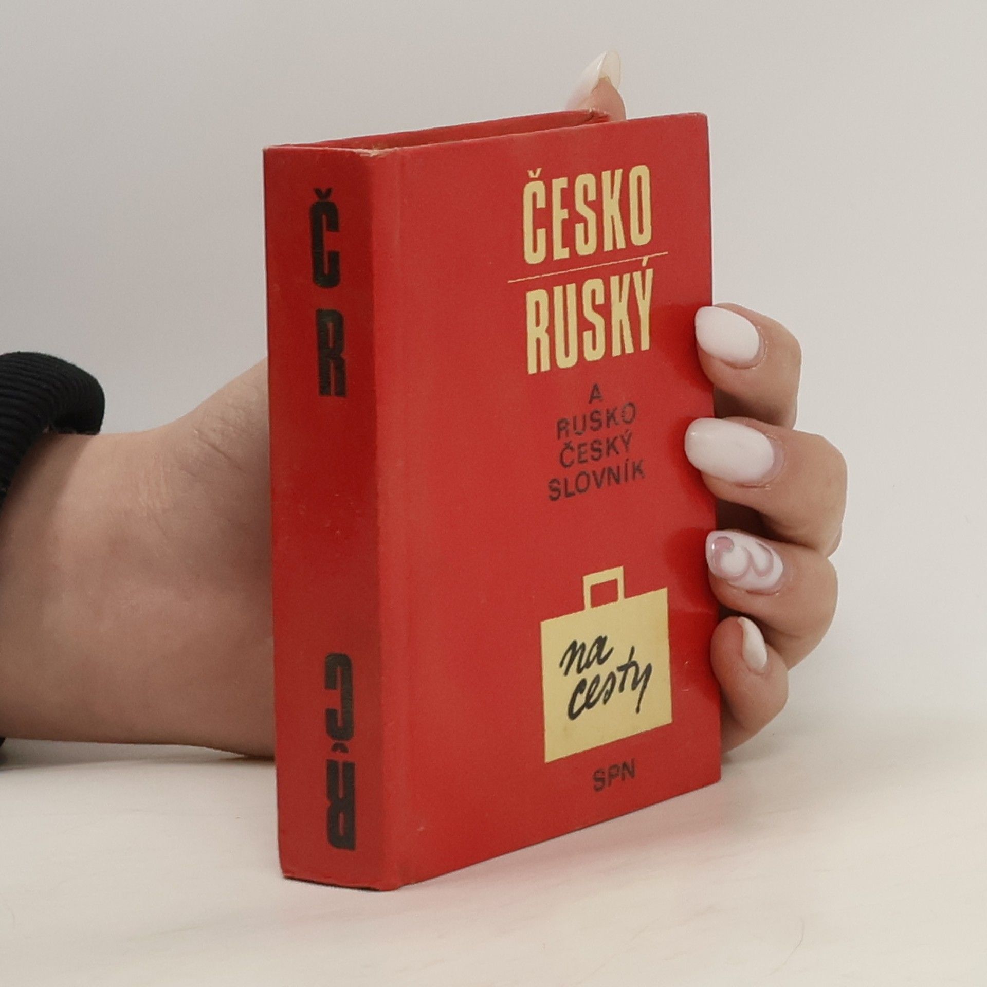 Collectif d'auteurs Rusko-český a česko-ruský slovník na cesty