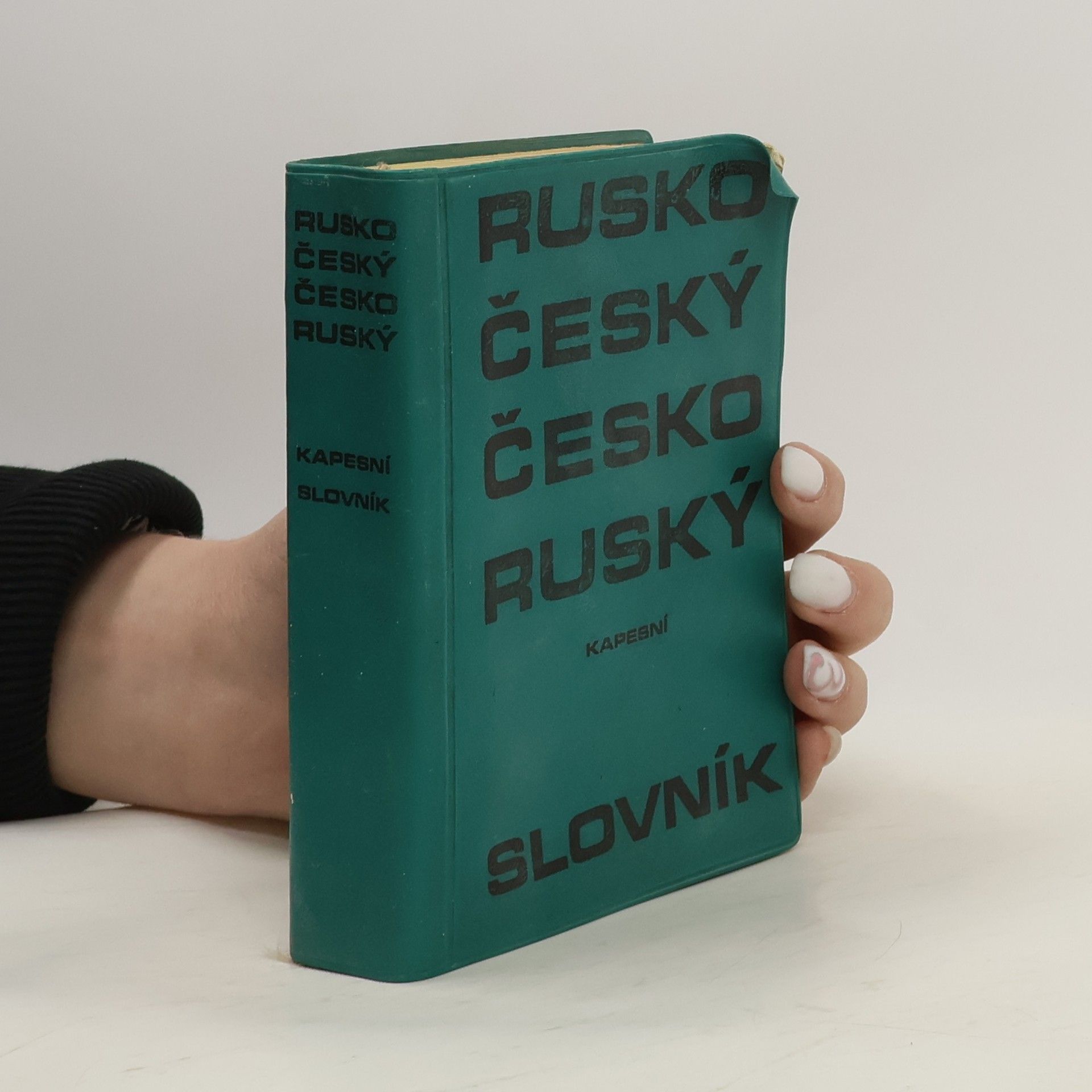 Collective Kapesní rusko-český a česko-ruský slovník