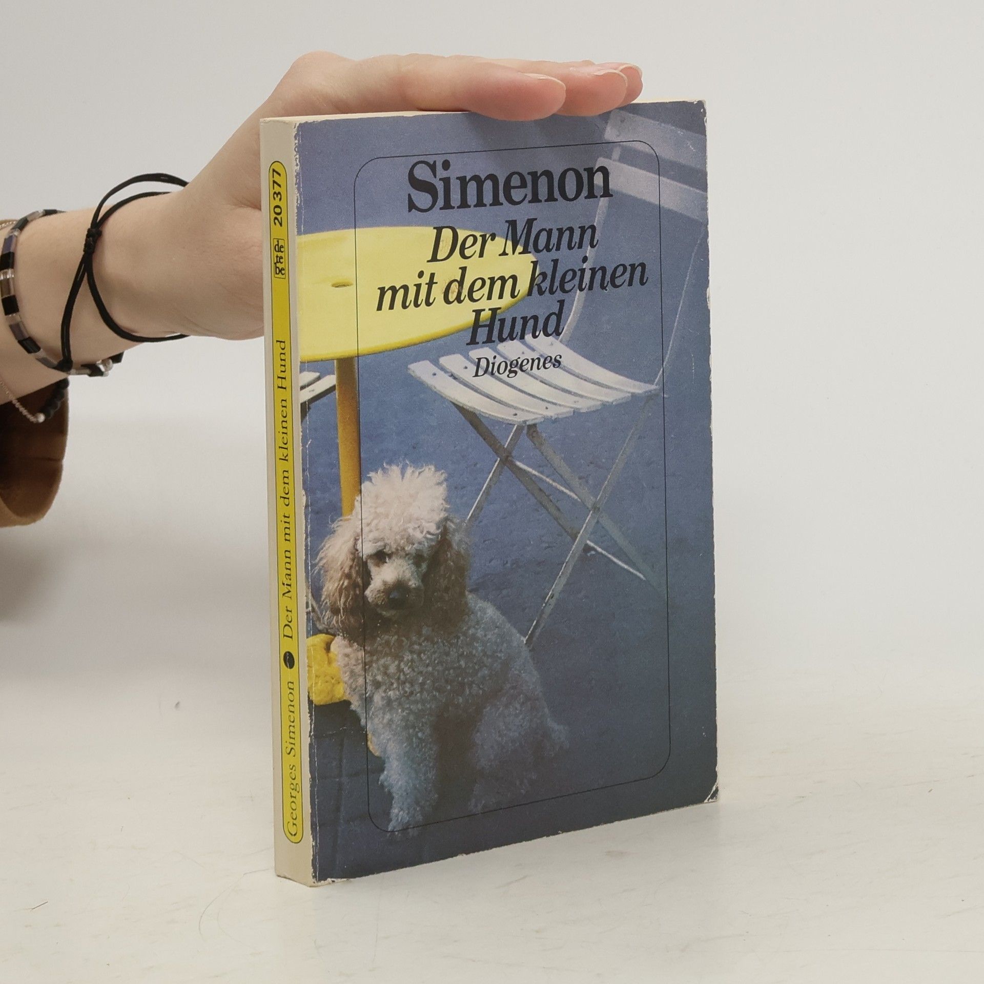 Georges Simenon Der Mann mit dem kleinen Hund