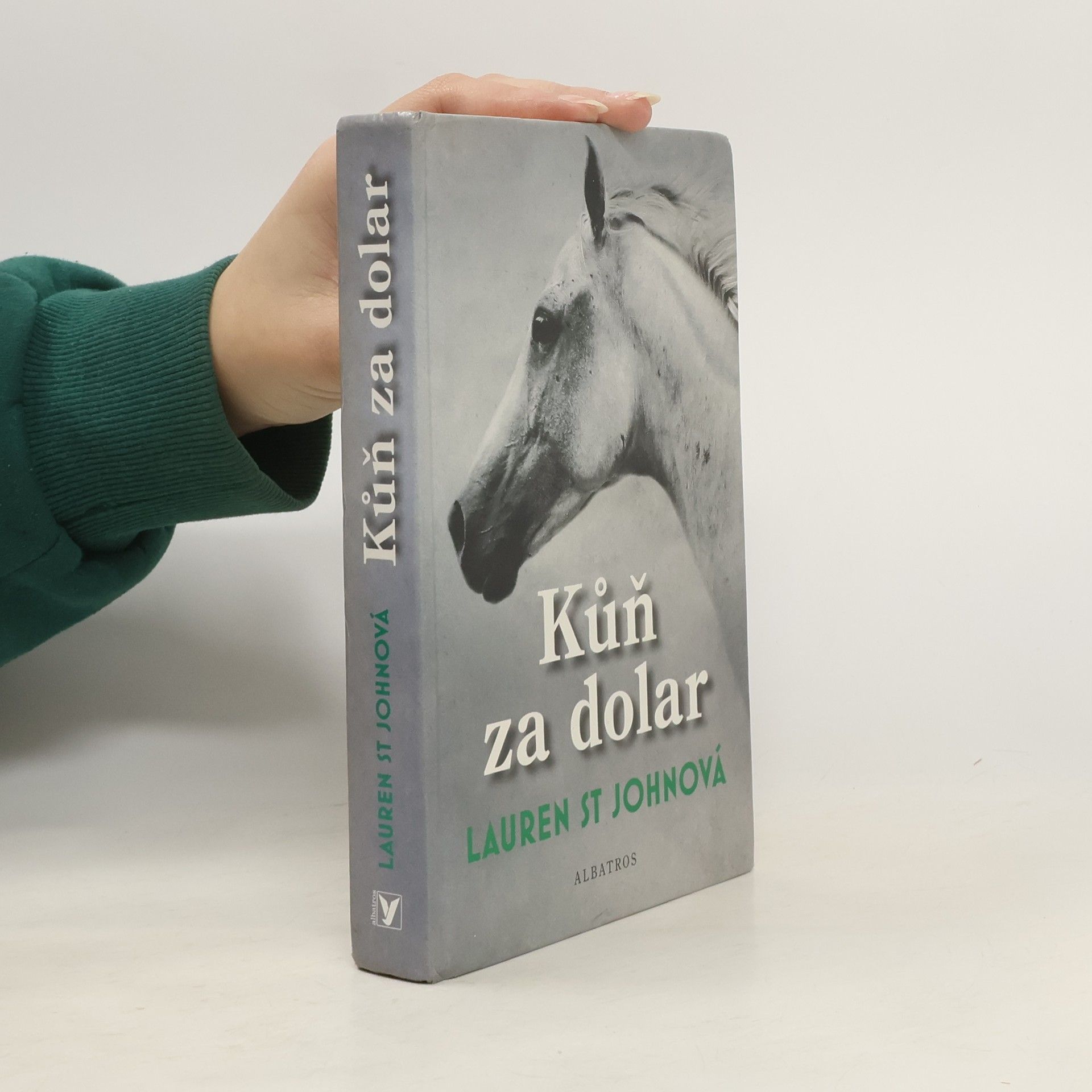 Lauren St. John Kůň za dolar