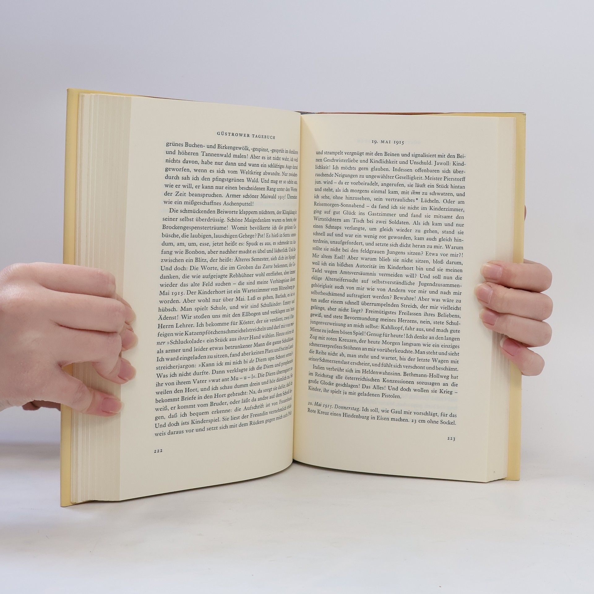 Ernst Barlach Güstrower Tagebuch