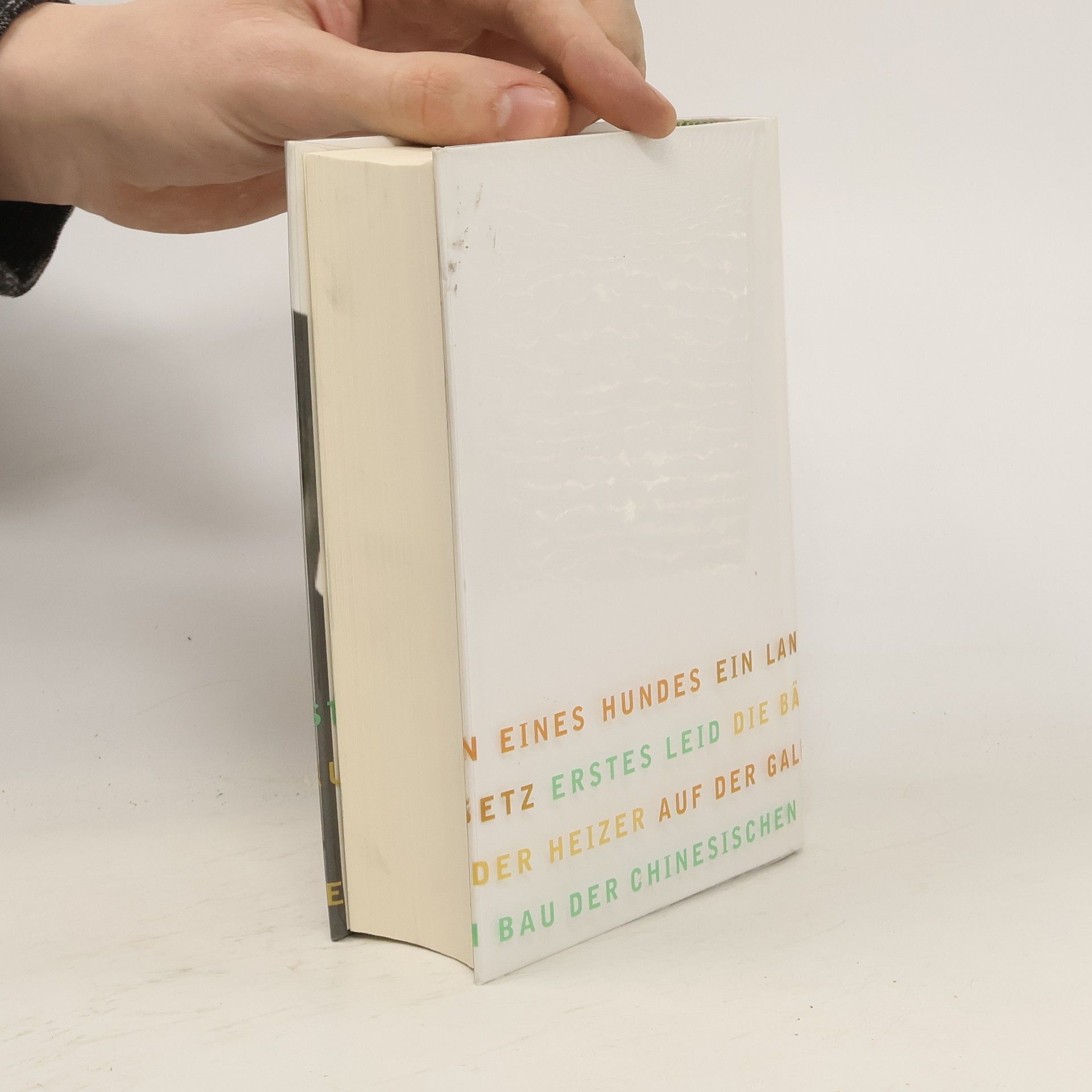 Franz Kafka Die Erzählungen und andere ausgewählte Prosa