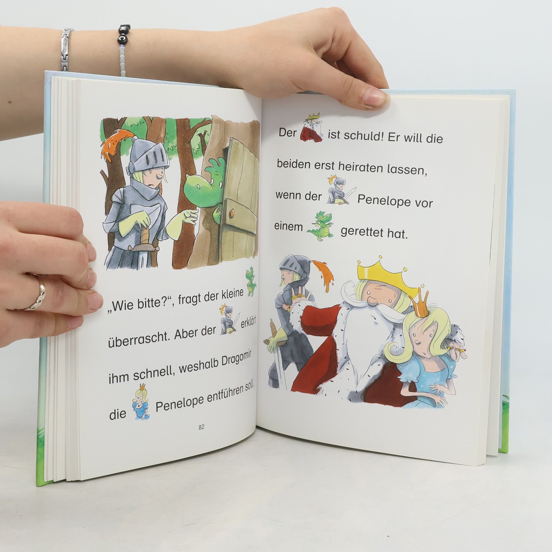 Das große Buch der Bildermäuse