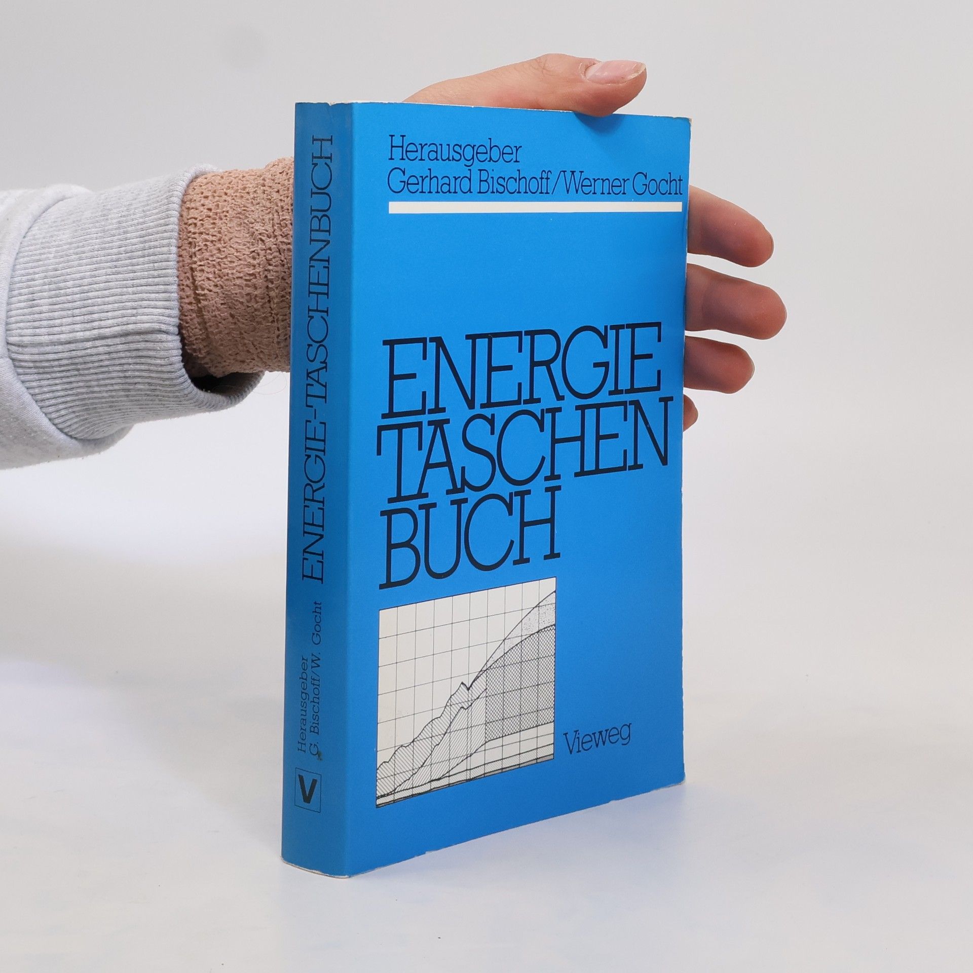 Gerhard Bischoff Energietaschenbuch