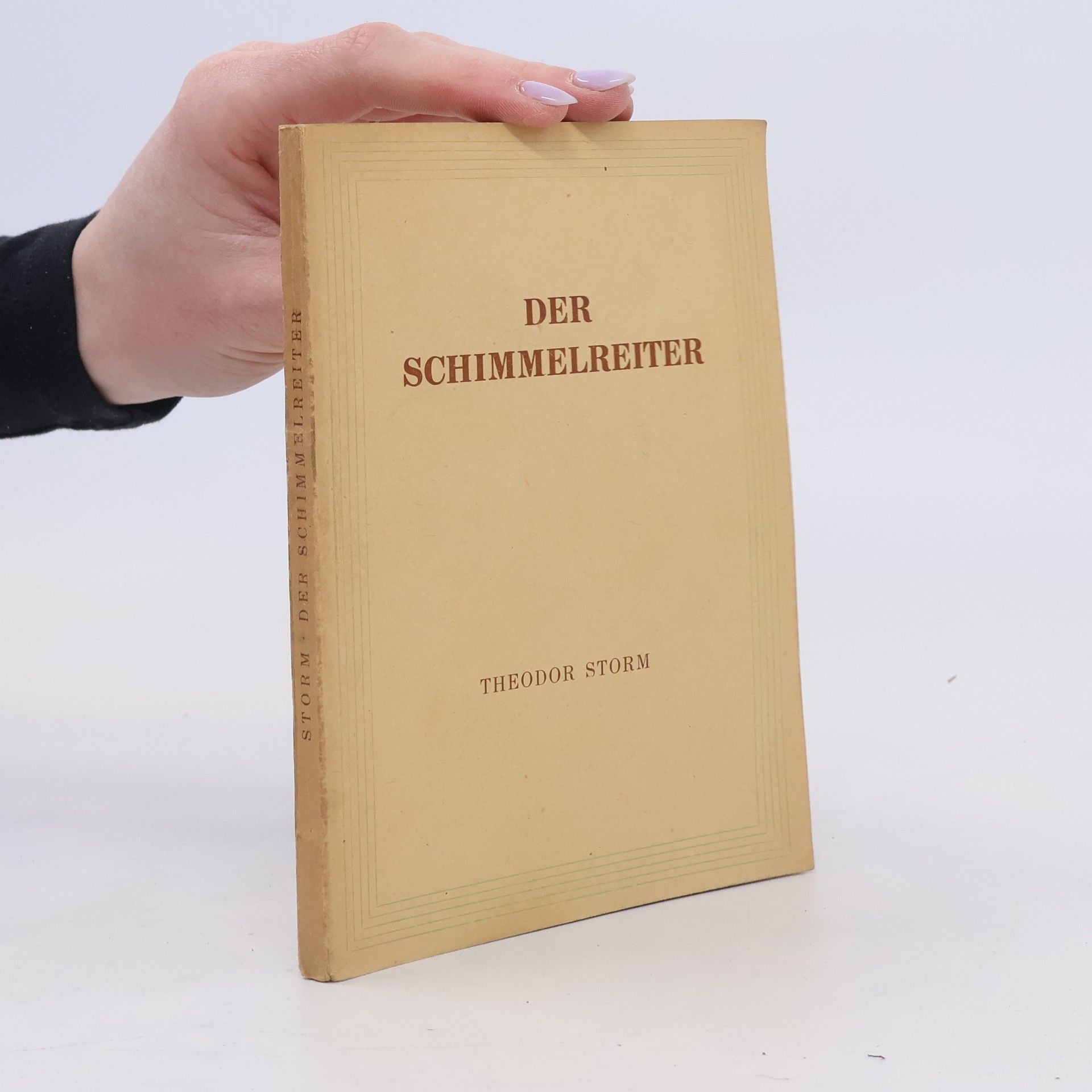 Theodor Storm Der Schimmelreiter
