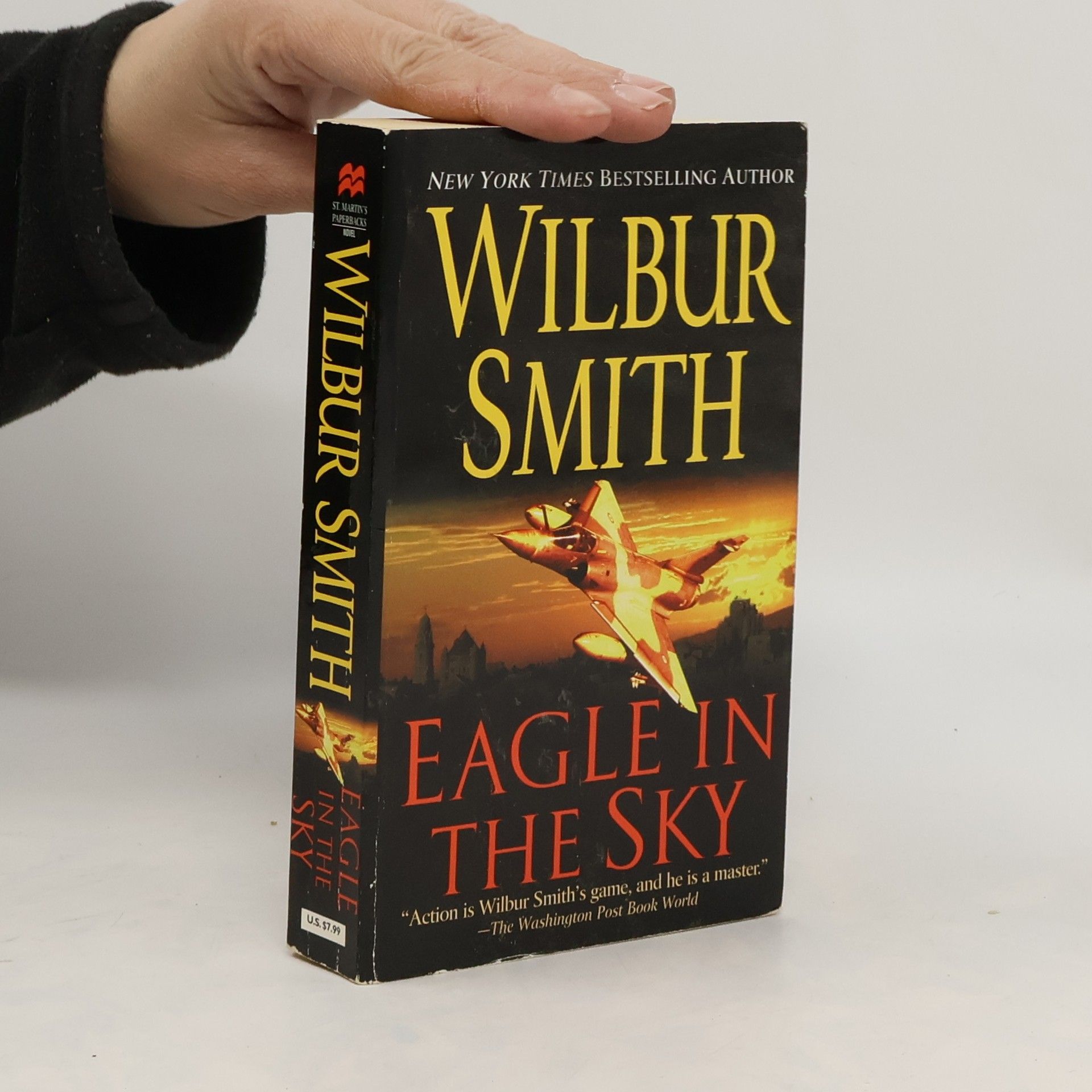 Wilbur Smith Eagle in the Sky