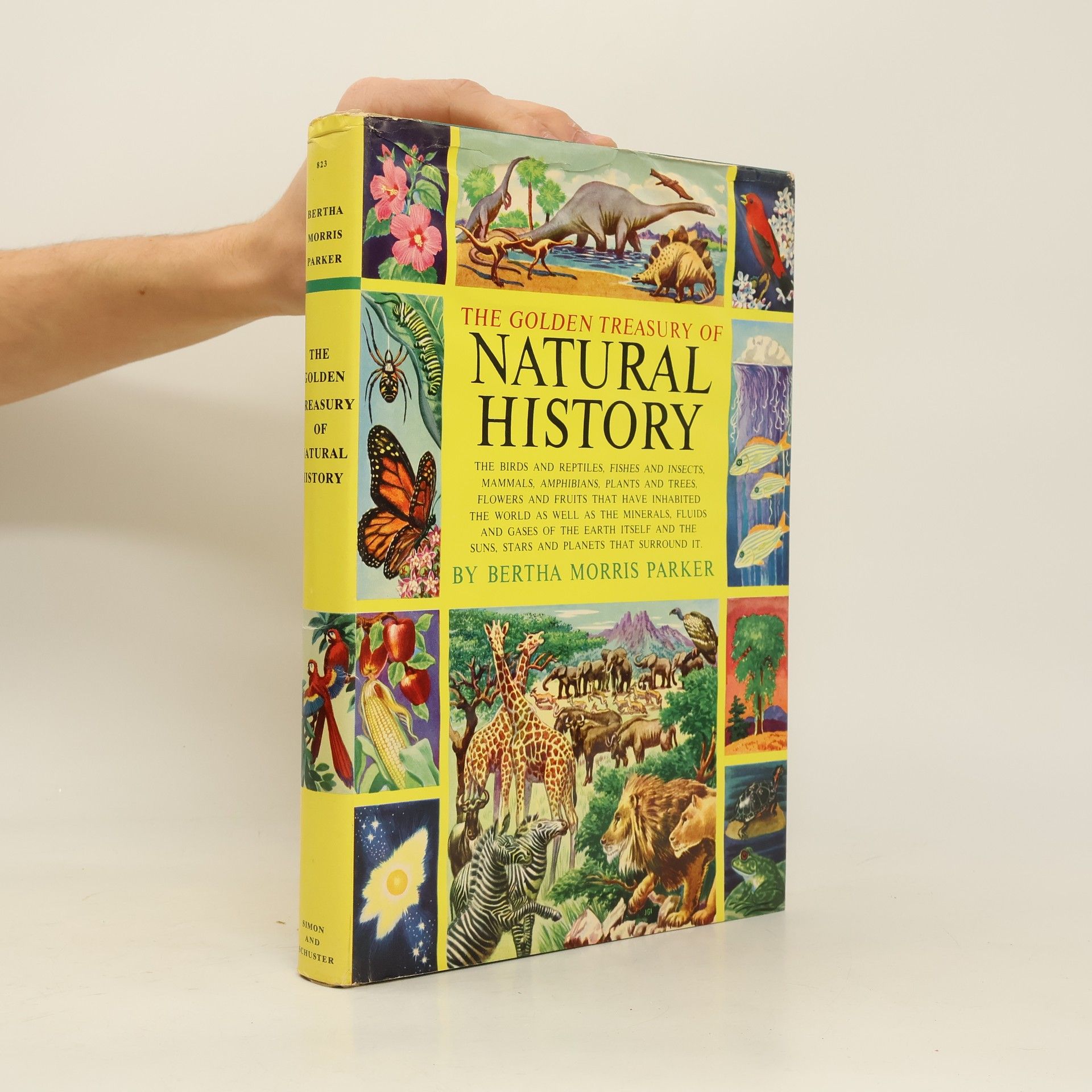 Bertha Morris Parker The Golden Treasury of Natural History