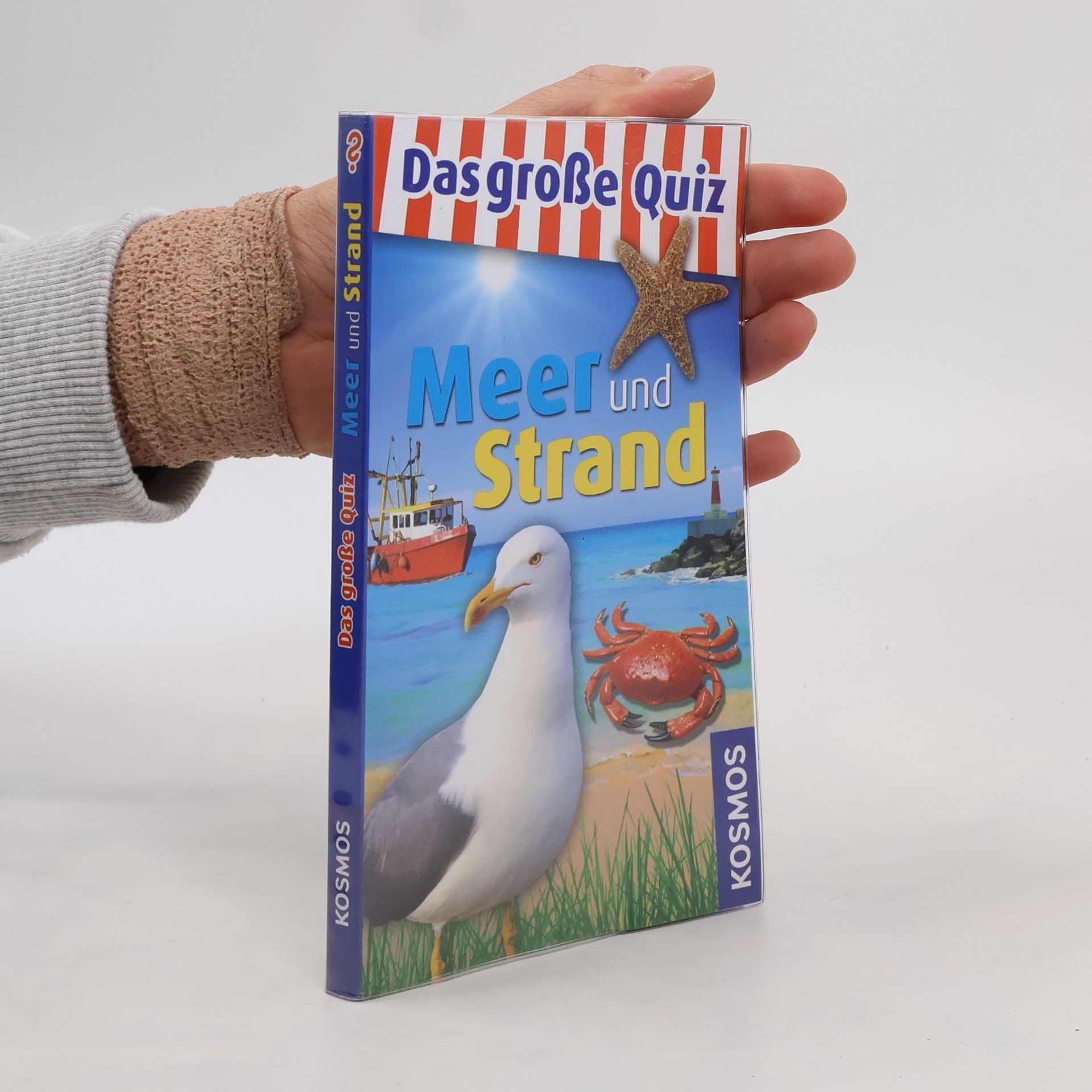 AA.VV. Das große Quiz Meer und Strand